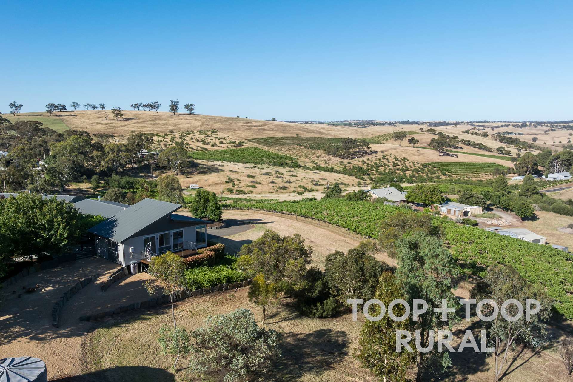 126 Gawler Park Road, Angaston Sold by Farmbuy.com - image 11