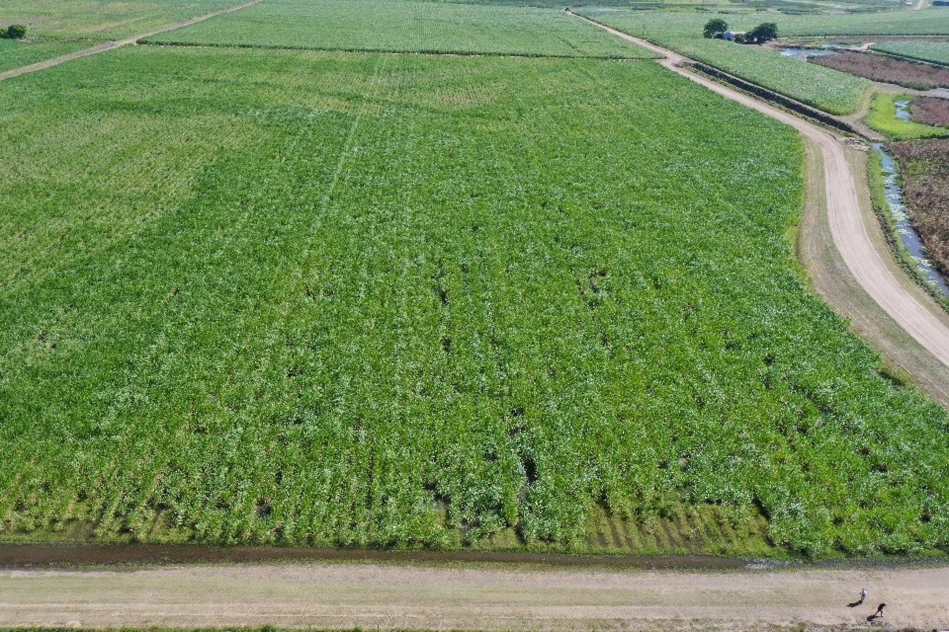 449 Trent  Road, Alva For Sale by Farmbuy.com - image 2