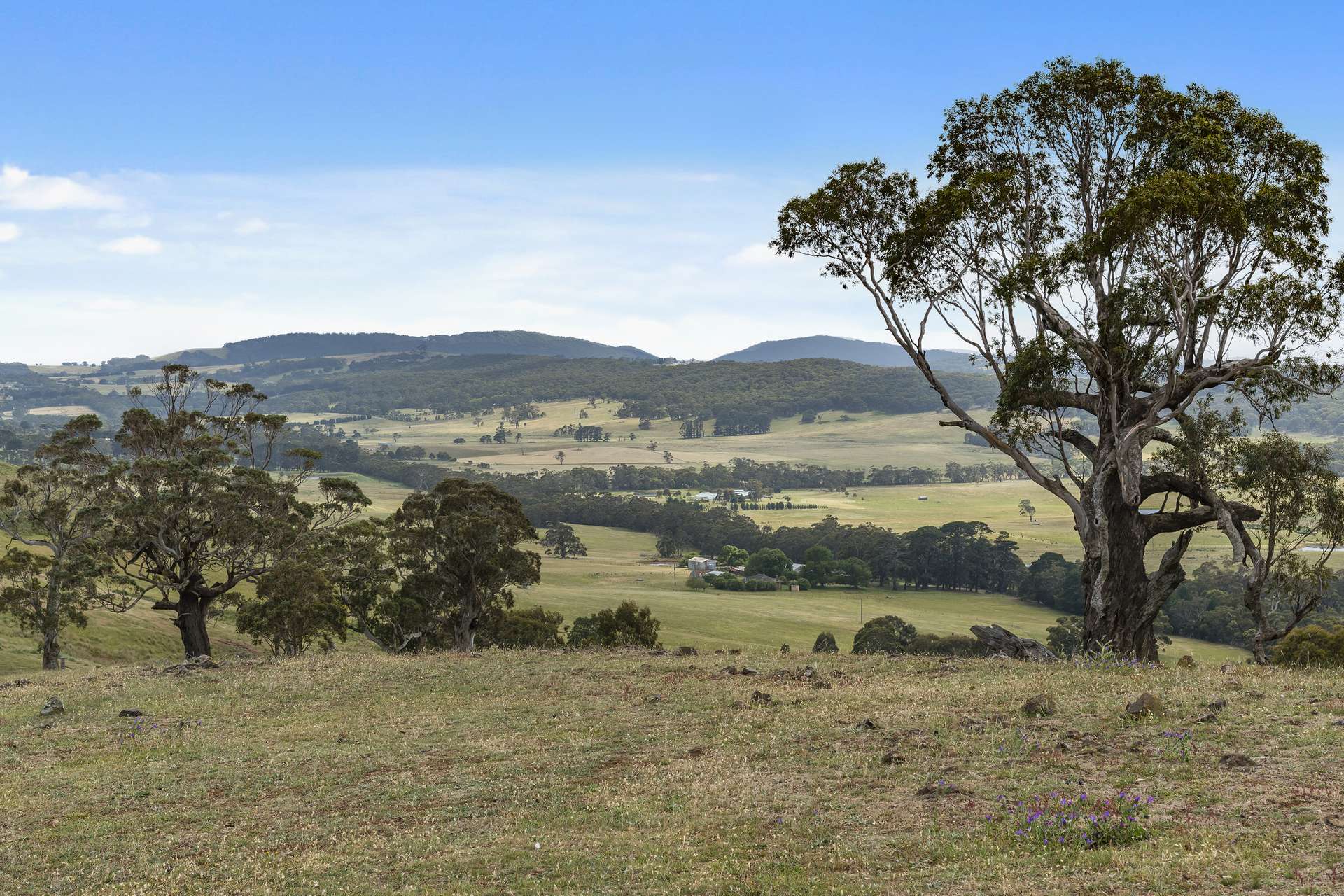 121 Mt William Road, Goldie For Sale by Farmbuy.com - image 20