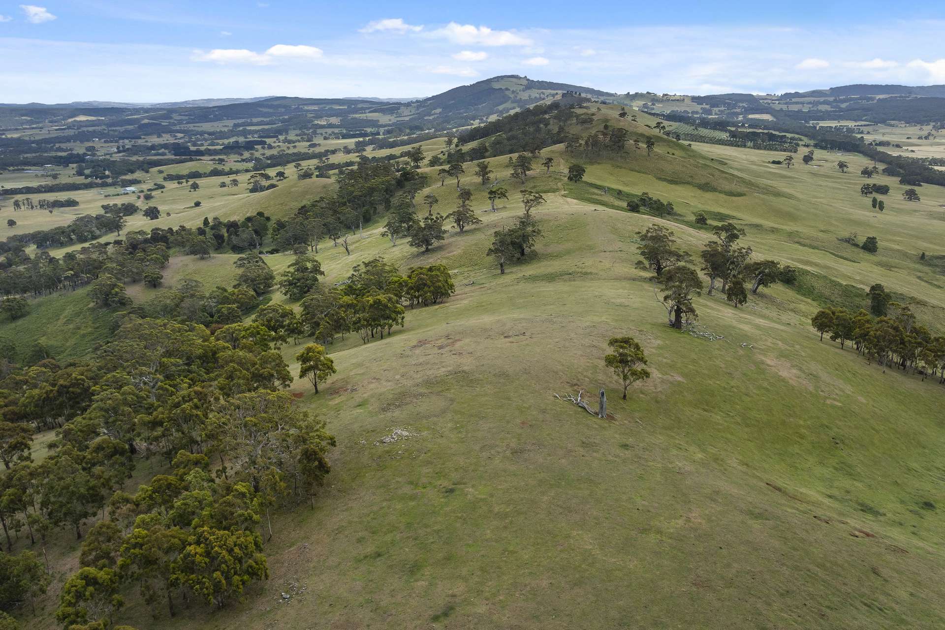 121 Mt William Road, Goldie For Sale by Farmbuy.com - image 22