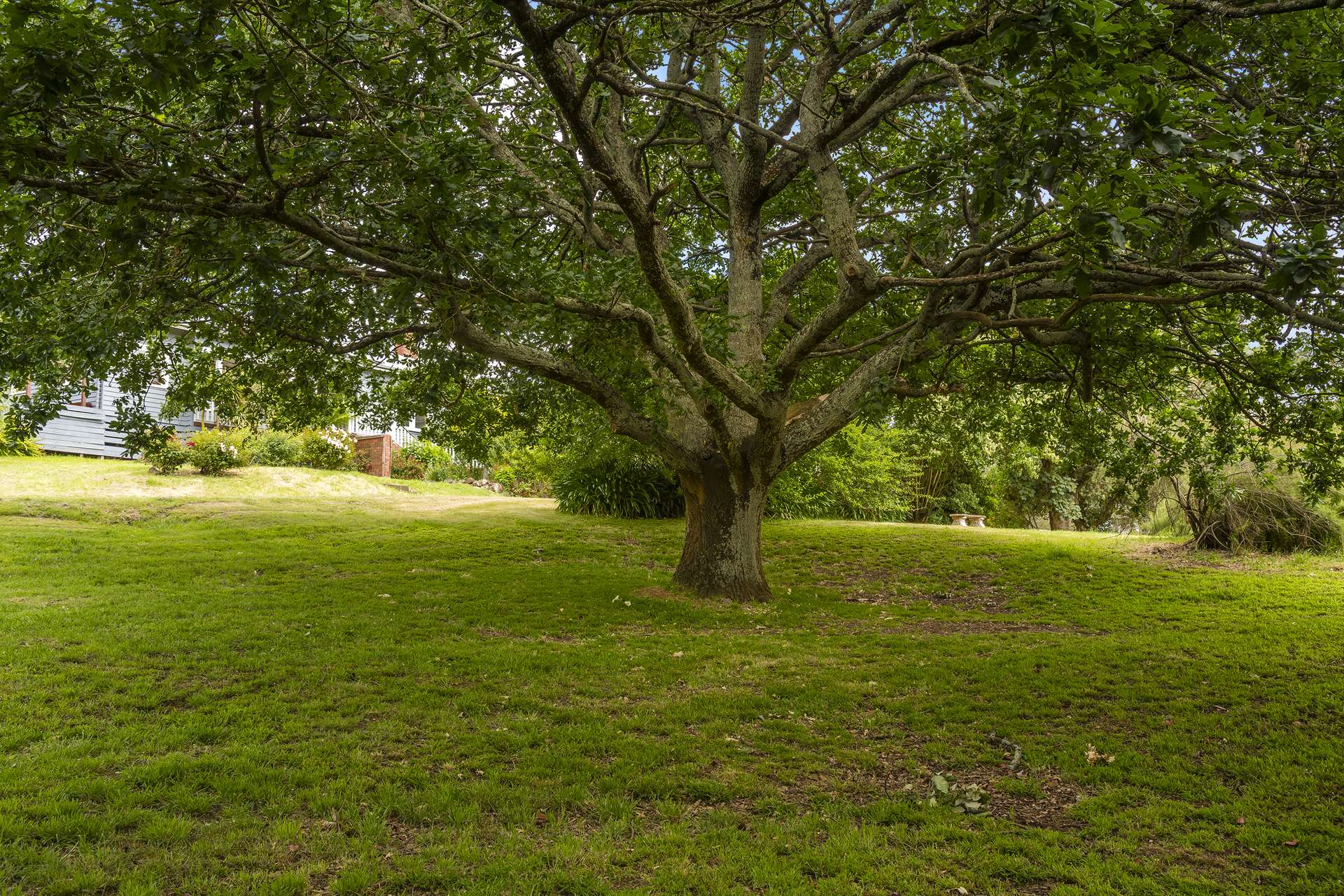 121 Mt William Road, Goldie For Sale by Farmbuy.com - image 25