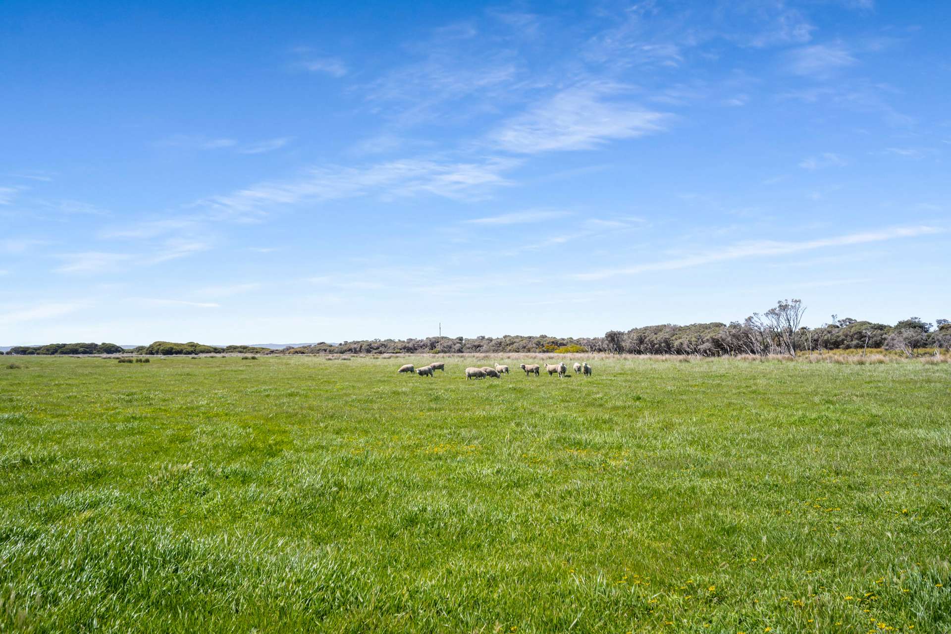 701 Nora Creina Road, Robe For Sale by Farmbuy.com - image 1