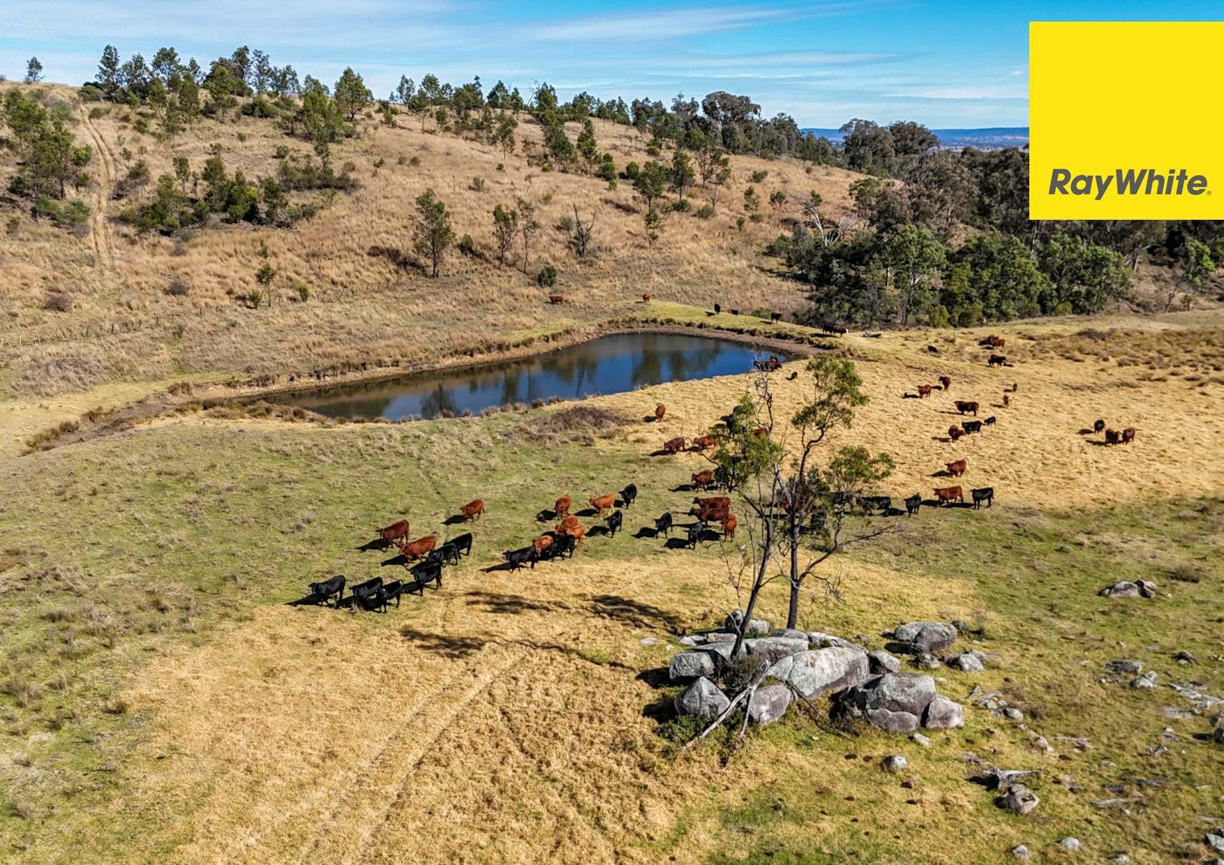 'Bimbadeen' Dry Creek Road, Bundarra For Sale by Farmbuy.com - image 25