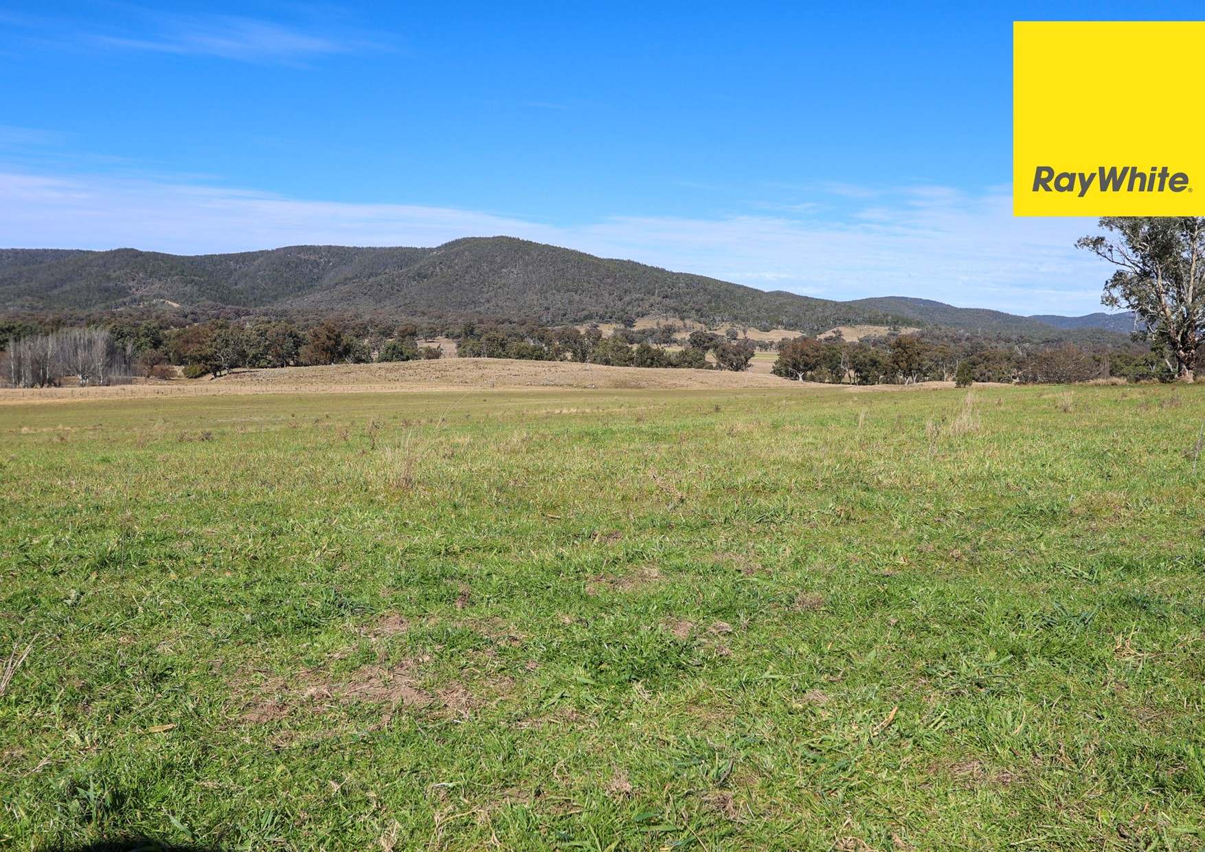 'Bimbadeen' Dry Creek Road, Bundarra For Sale by Farmbuy.com - image 8