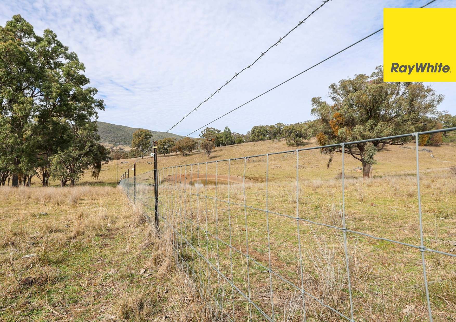 'Bimbadeen' Dry Creek Road, Bundarra For Sale by Farmbuy.com - image 26