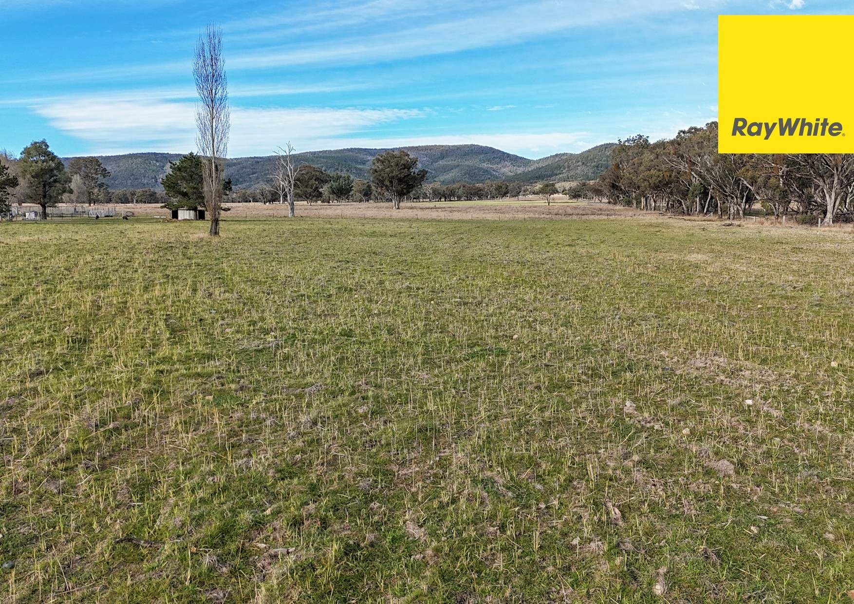 406 Dry Creek Road, Inverell For Sale by Farmbuy.com - image 4