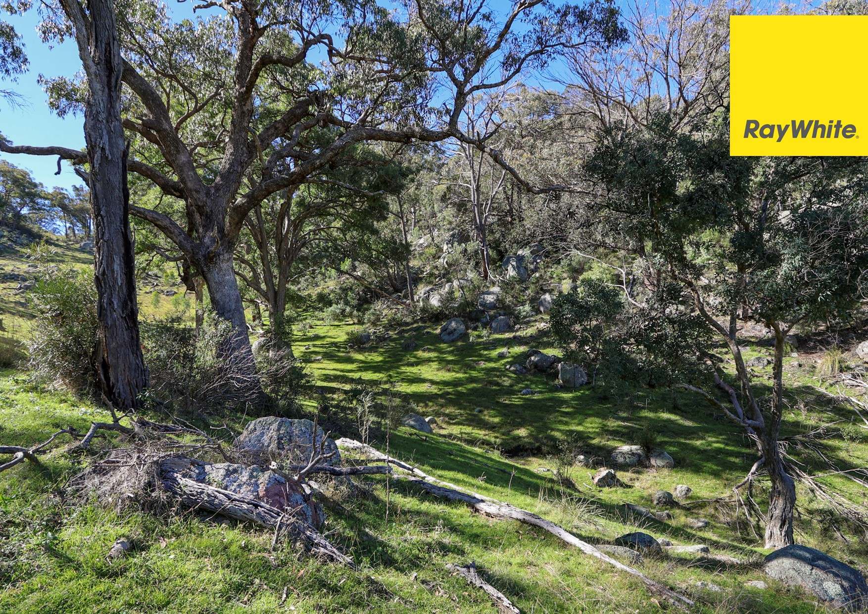 406 Dry Creek Road, Inverell For Sale by Farmbuy.com - image 28
