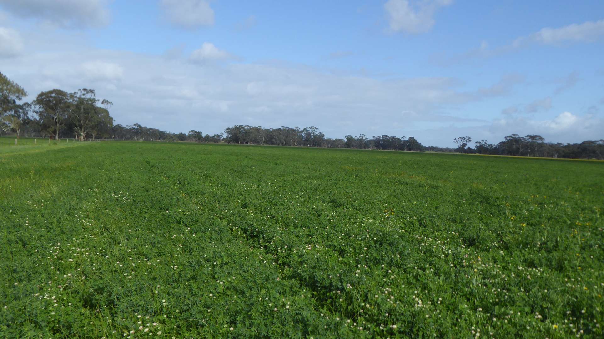 2448 Bangham Road, Frances For Sale by Farmbuy.com - image 6