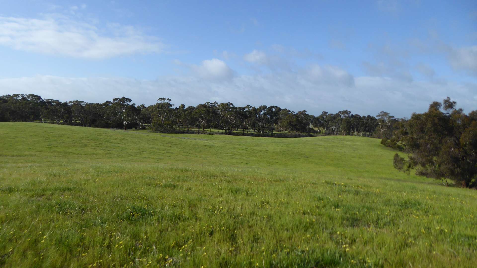 2448 Bangham Road, Frances For Sale by Farmbuy.com - image 9