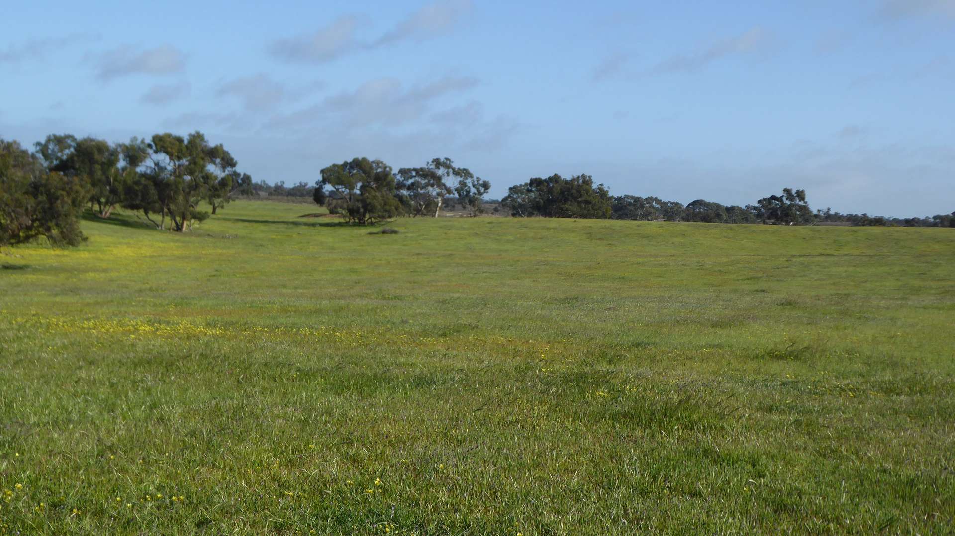 2448 Bangham Road, Frances For Sale by Farmbuy.com - image 10
