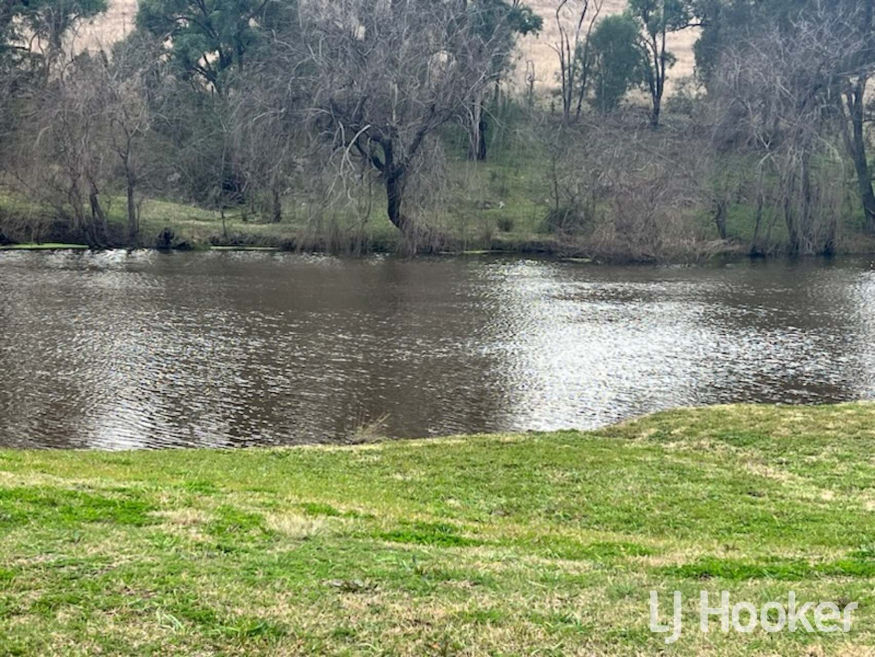 557 Pindari Dam Road, Inverell For Sale by Farmbuy.com - image 9