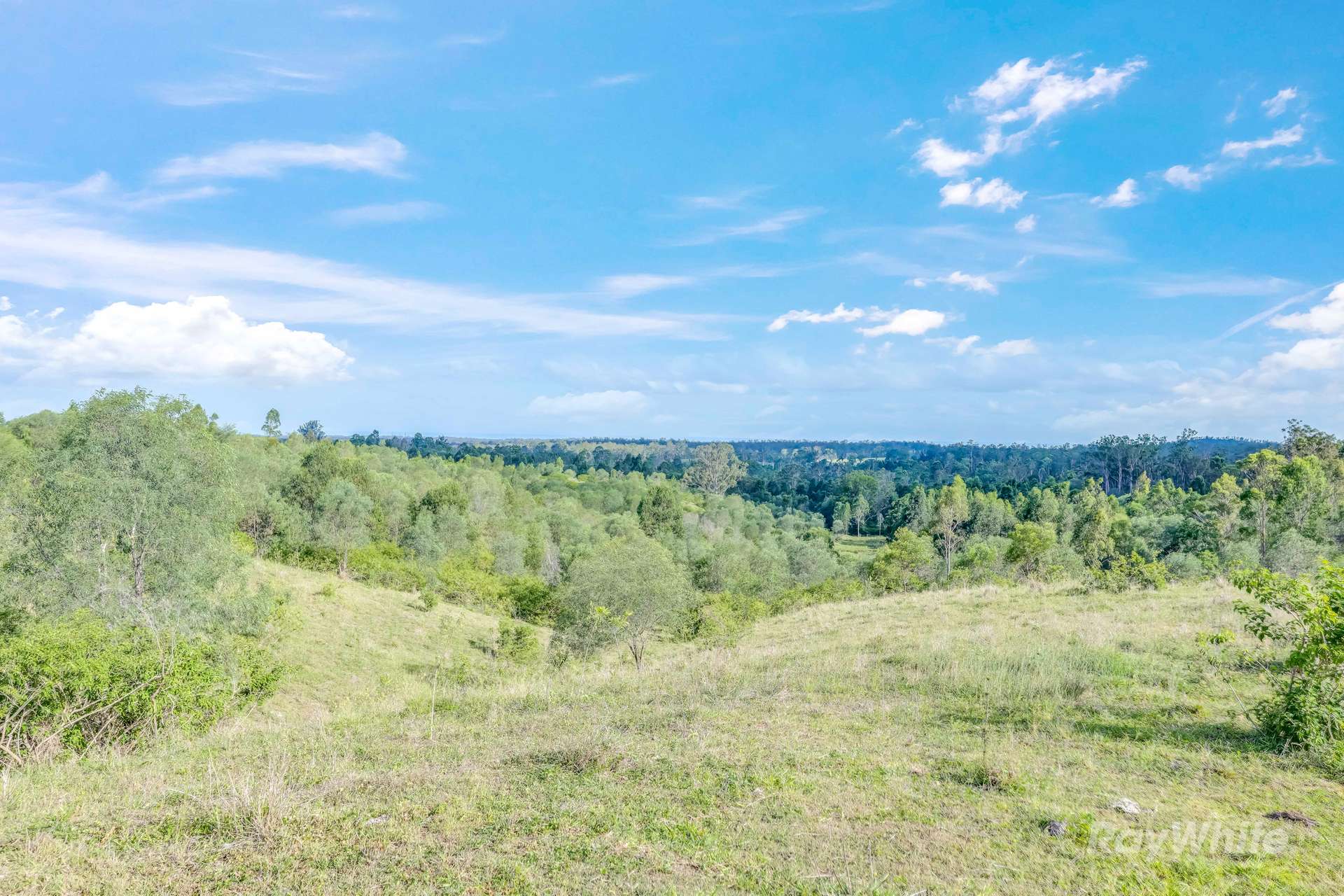 35515 Bruce Highway, Monduran For Sale by Farmbuy.com - image 9