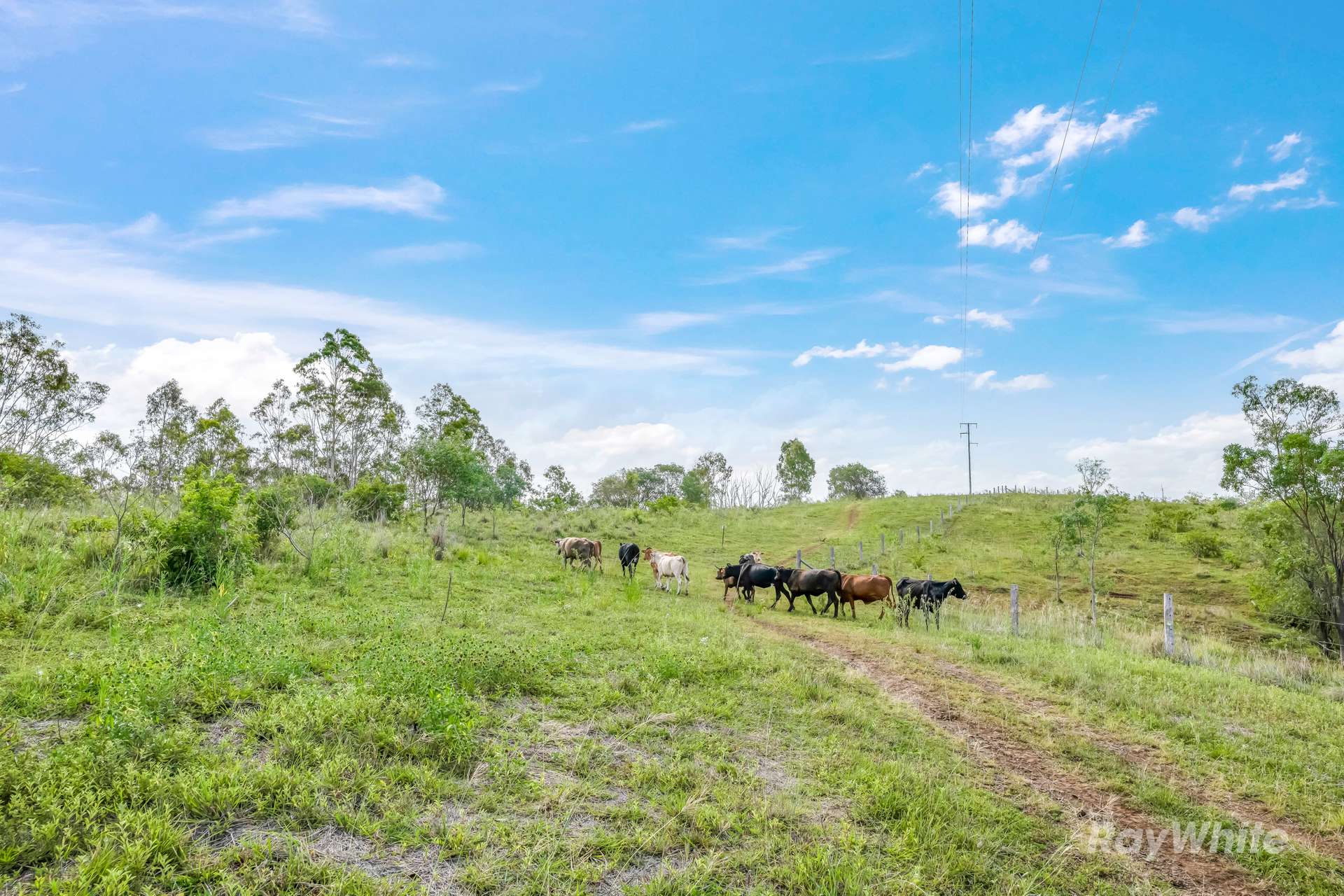 35515 Bruce Highway, Monduran For Sale by Farmbuy.com - image 13
