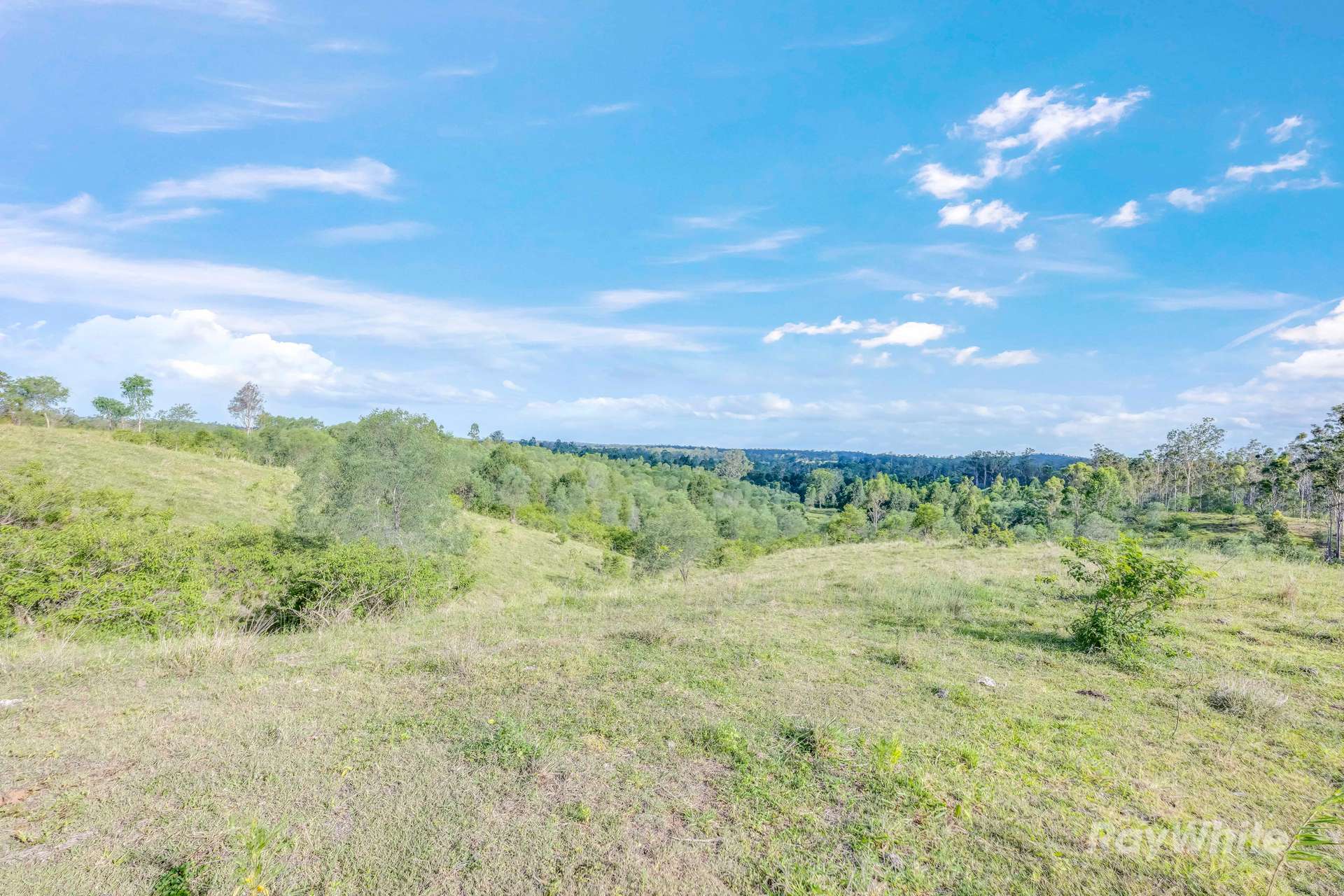 35515 Bruce Highway, Monduran For Sale by Farmbuy.com - image 8
