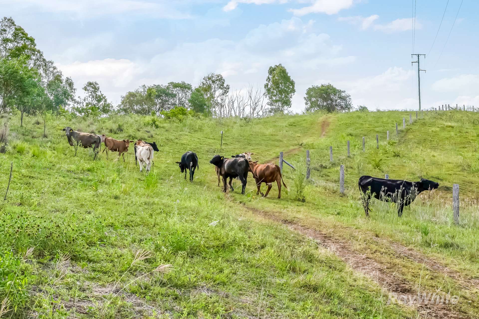 35515 Bruce Highway, Monduran For Sale by Farmbuy.com - image 14