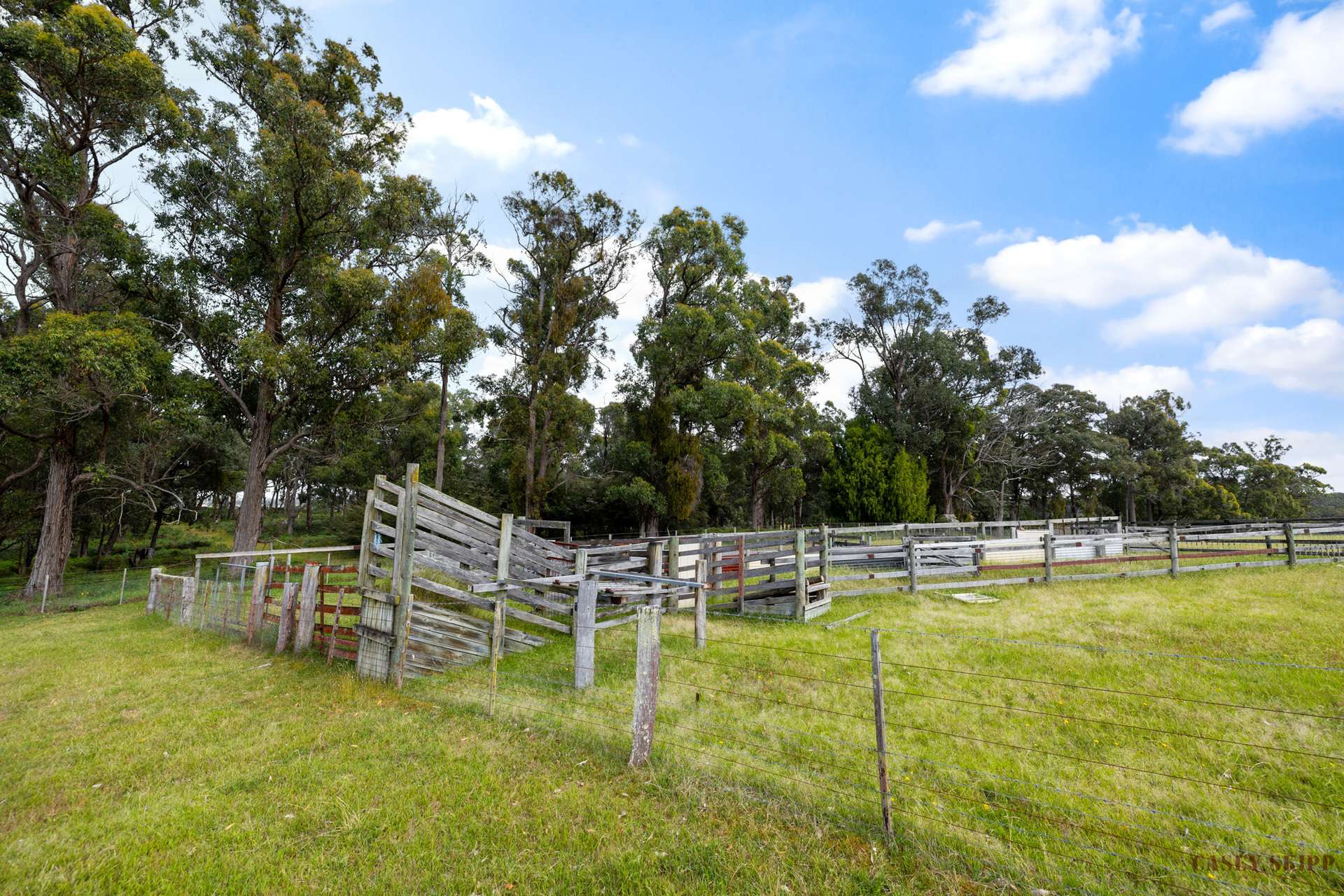 2279 Princes Highway, Swan Reach For Sale by Farmbuy.com - image 19