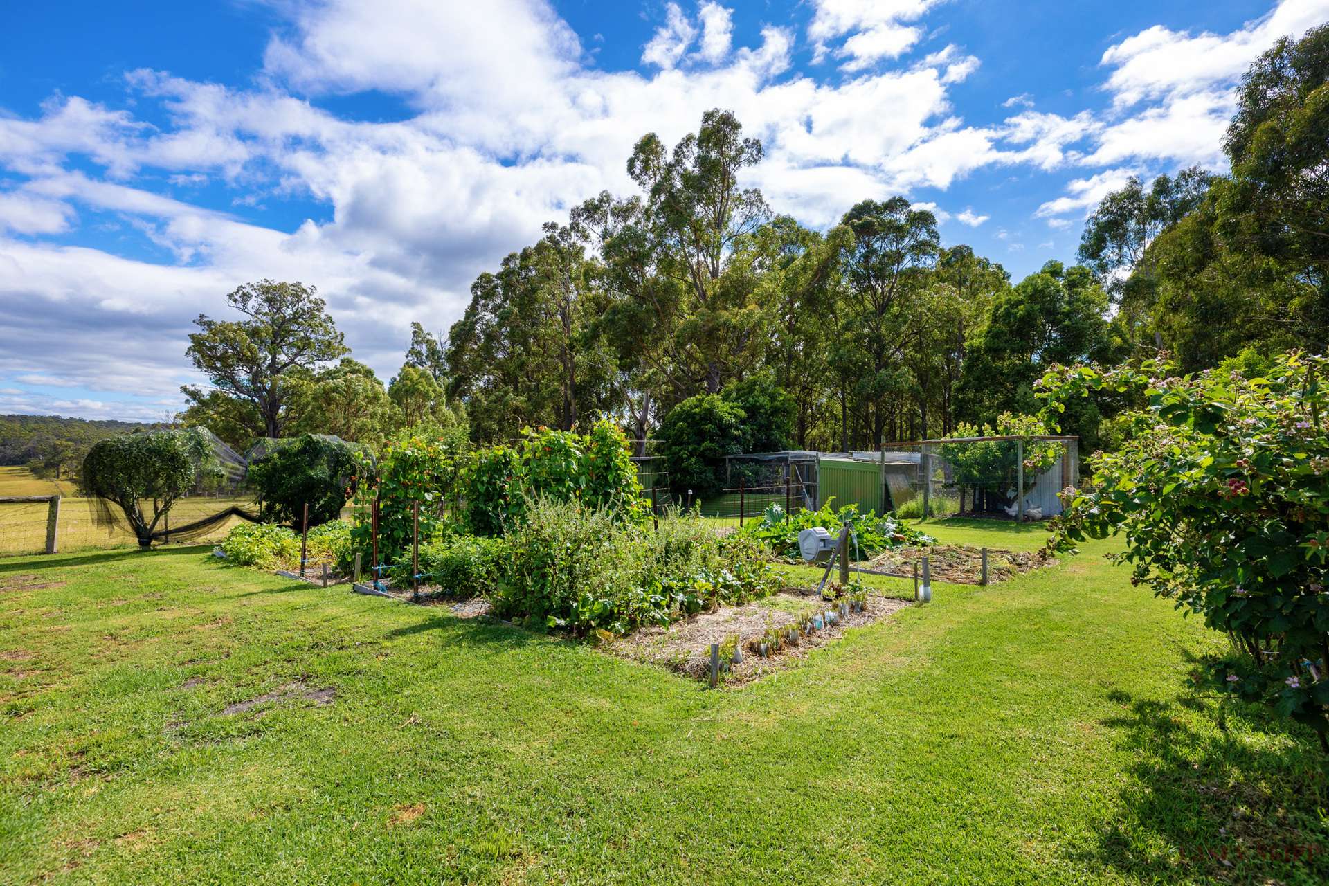 2279 Princes Highway, Swan Reach For Sale by Farmbuy.com - image 17