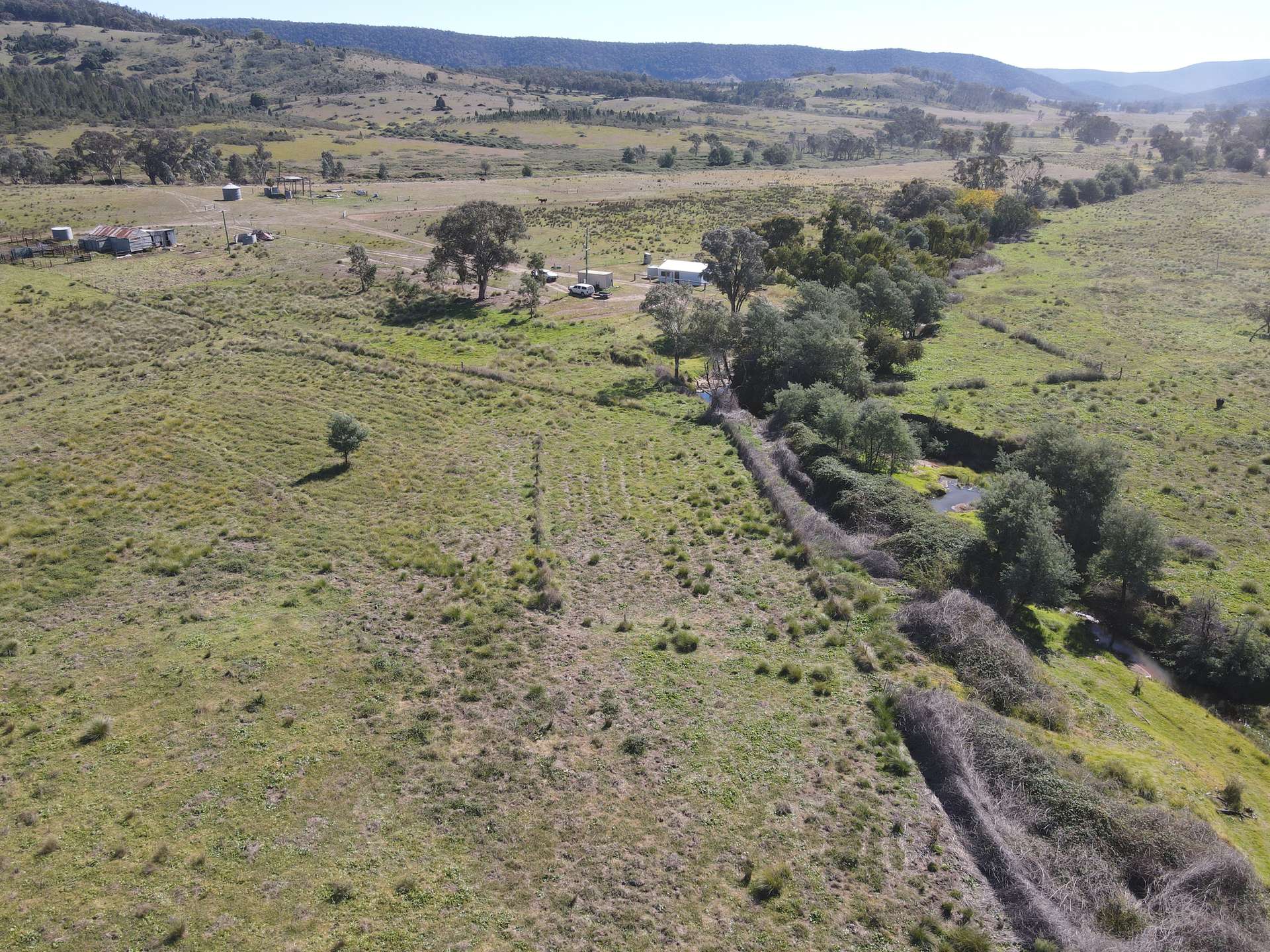 Lot "Abercorn", 2154 Kangarooby Road, Gooloogong For Sale by Farmbuy.com - image 8