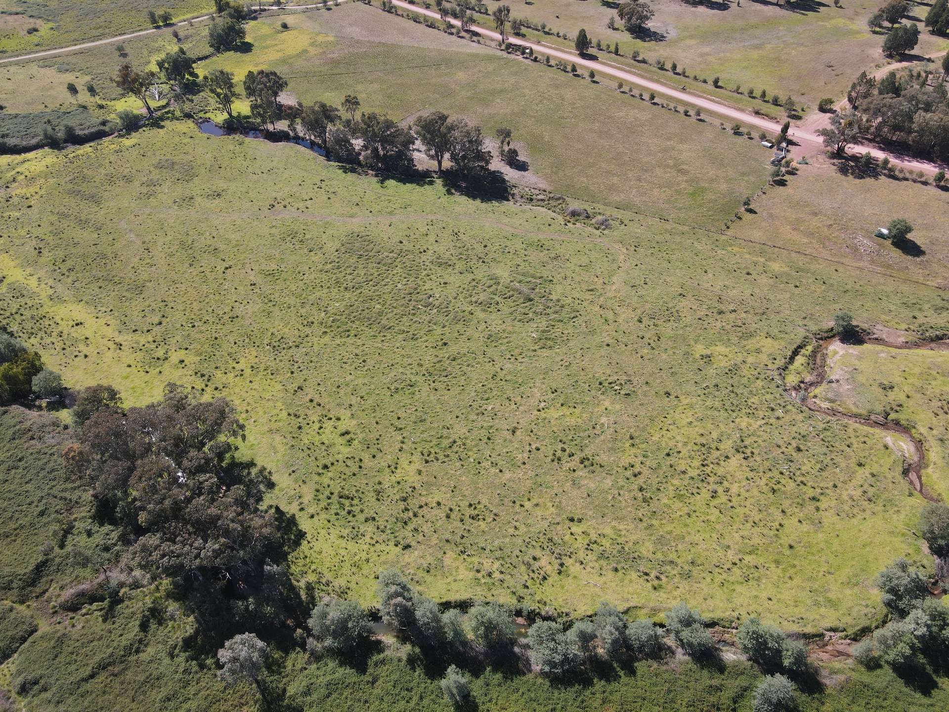 Lot "Abercorn", 2154 Kangarooby Road, Gooloogong For Sale by Farmbuy.com - image 3