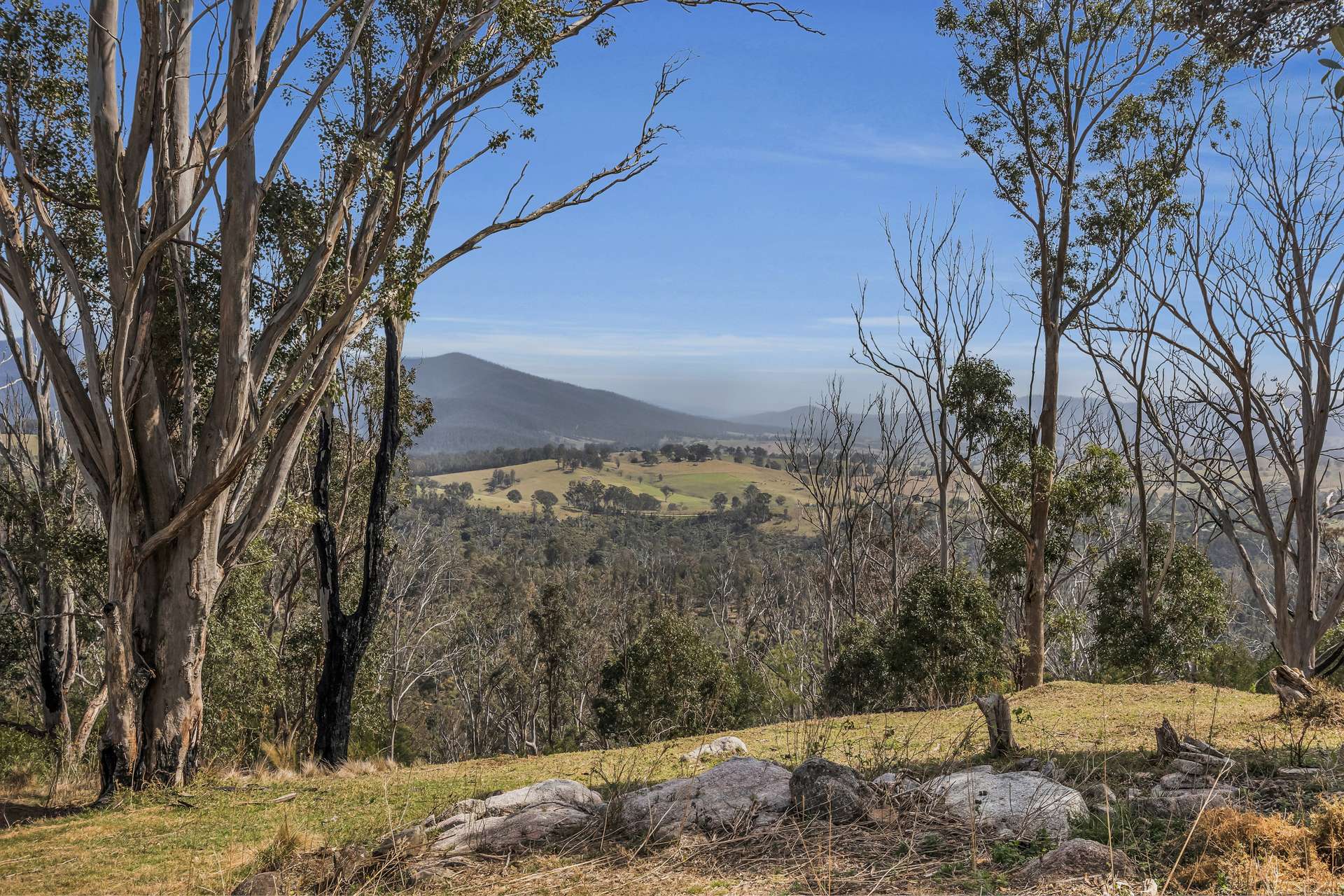 603 County Boundary Road, Cobargo For Sale by Farmbuy.com - image 8