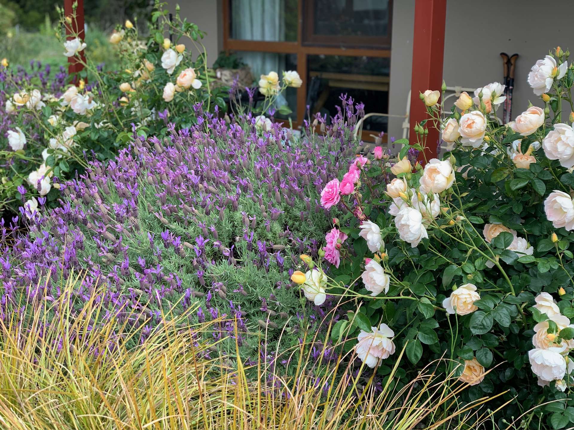 385 Foxs Elbow, Braidwood For Sale by Farmbuy.com - image 26