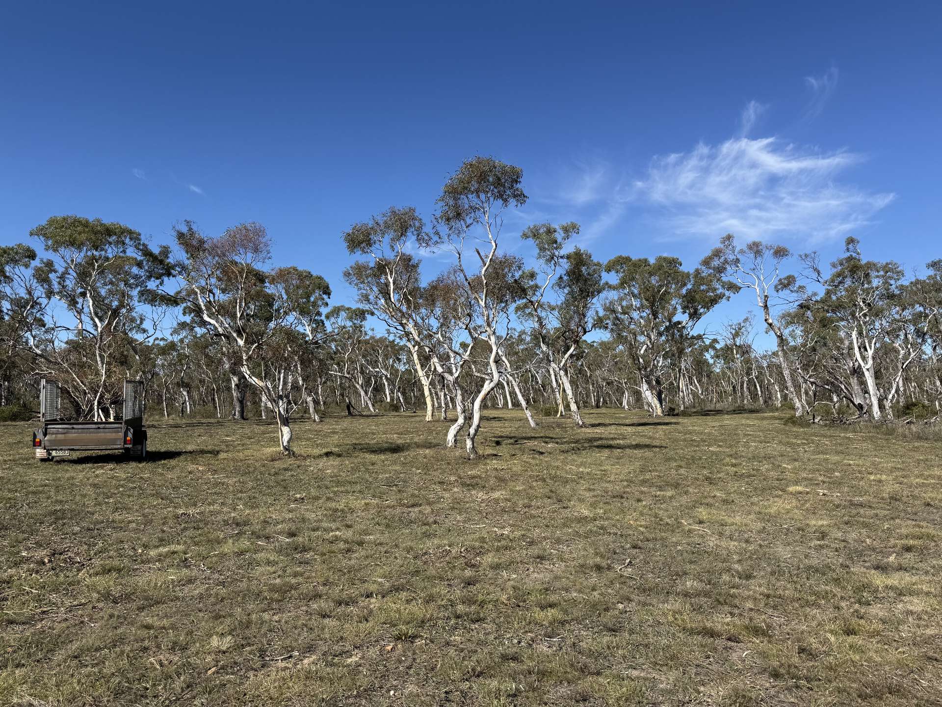 385 Foxs Elbow, Braidwood For Sale by Farmbuy.com - image 2