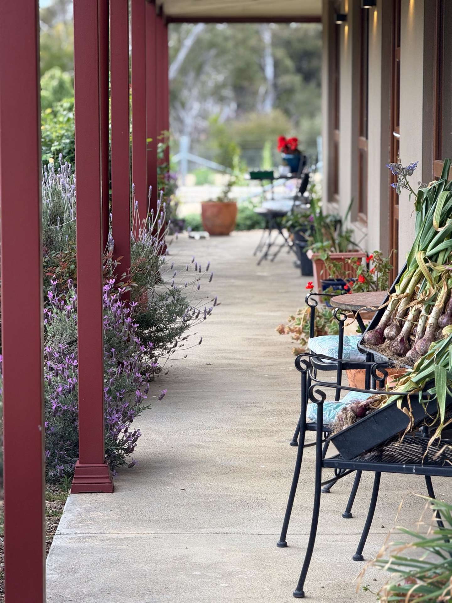 385 Foxs Elbow, Braidwood For Sale by Farmbuy.com - image 12