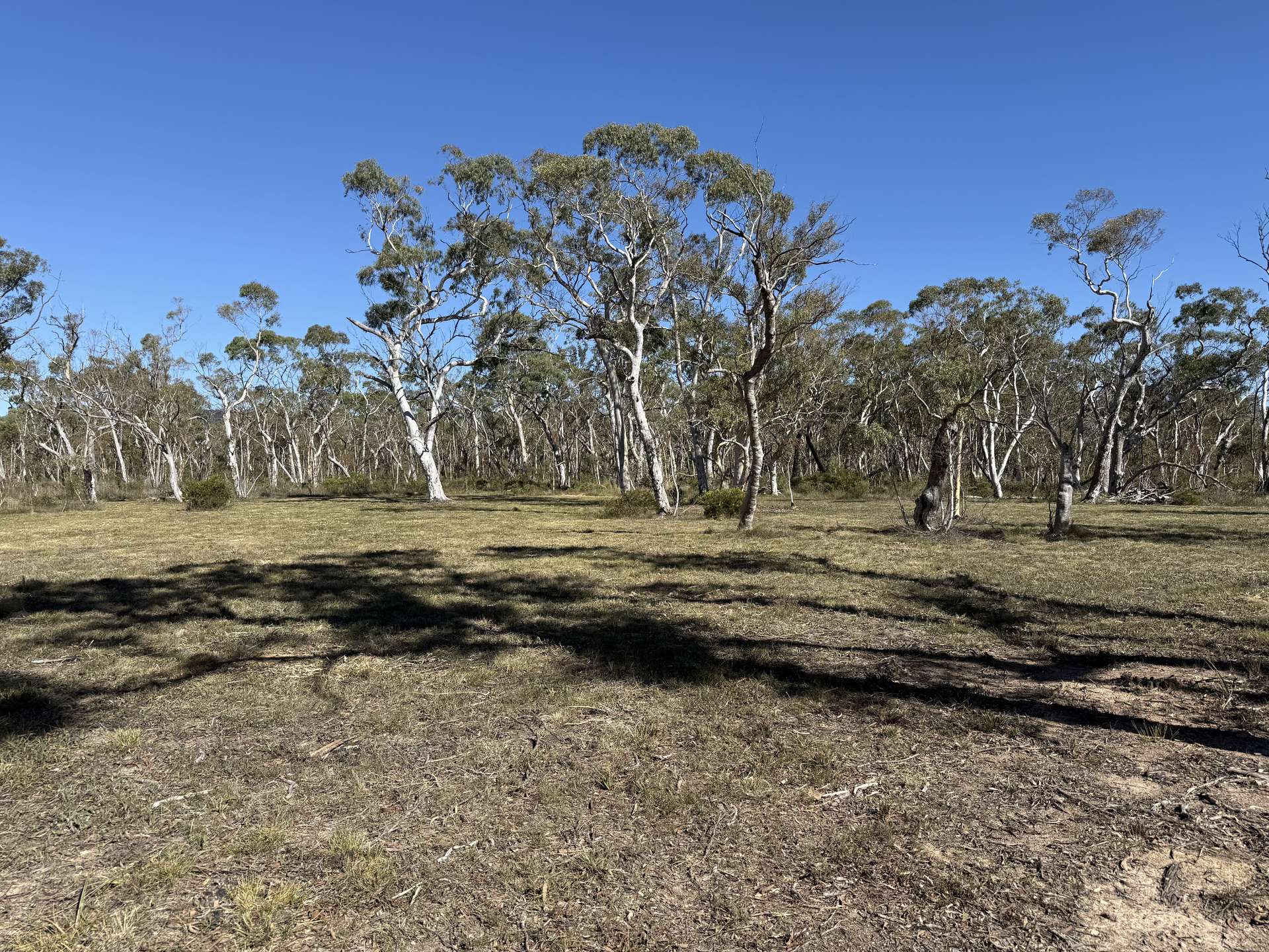 385 Foxs Elbow, Braidwood For Sale by Farmbuy.com - image 3