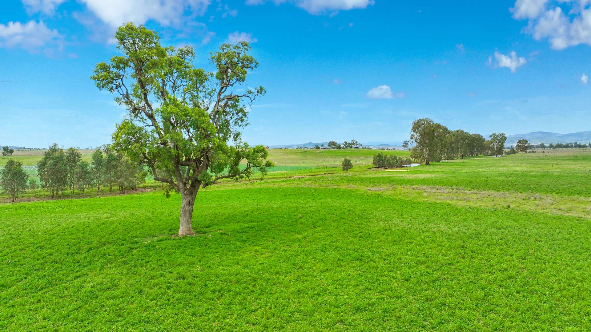 359 Balcarry Lane, Attunga Sold by Farmbuy.com - image 19