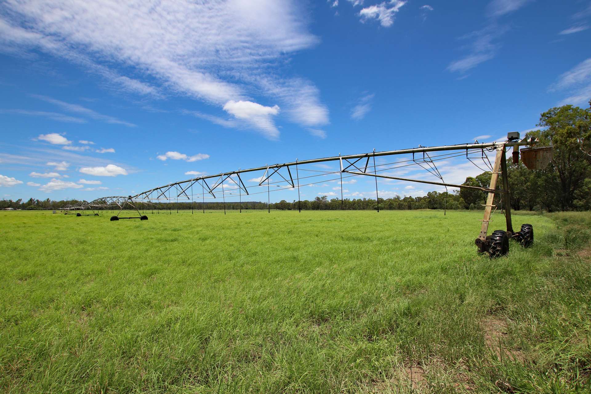 220 Dingles Road, Dixalea For Sale by Farmbuy.com - image 13