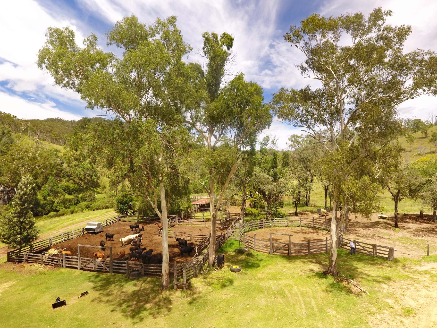 "Twin Creeks" 1472 Twin Creeks Road, Yarrol For Sale by Farmbuy.com - image 7