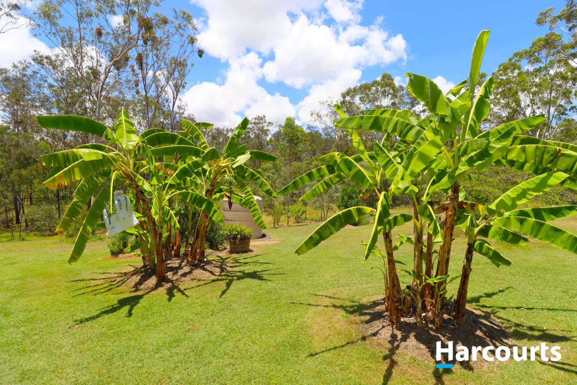 185 Gentle Annie Road, Apple Tree Creek Sold by Farmbuy.com - image 29