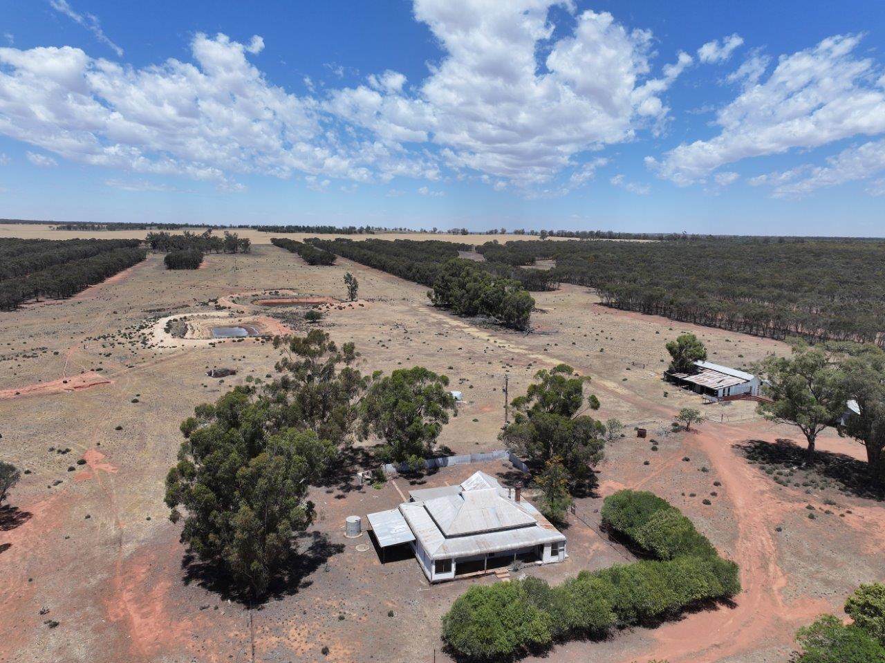 'Corio' 343 Lees Lane, Alleena For Sale by Farmbuy.com - image 6
