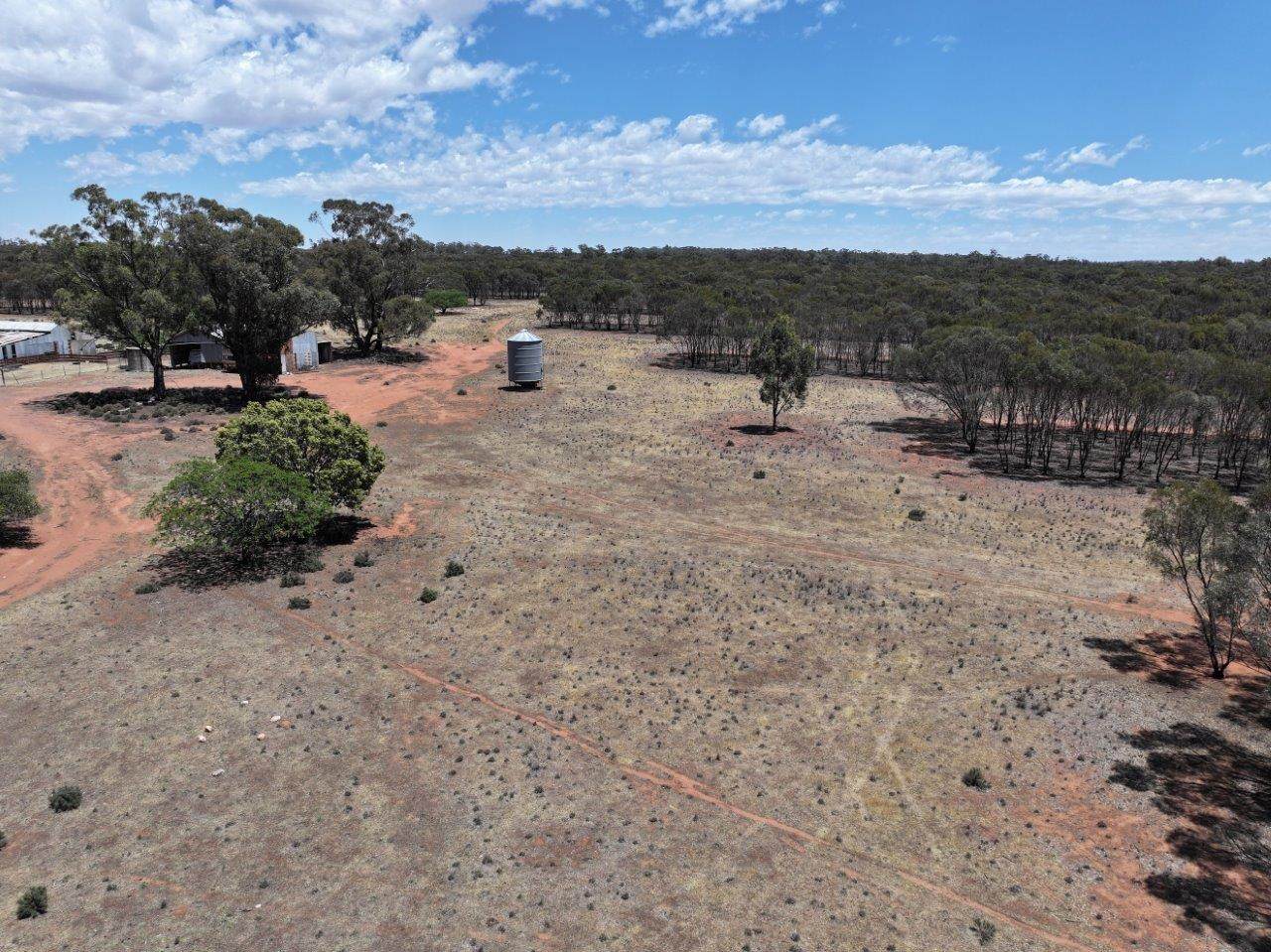 'Corio' 343 Lees Lane, Alleena For Sale by Farmbuy.com - image 4