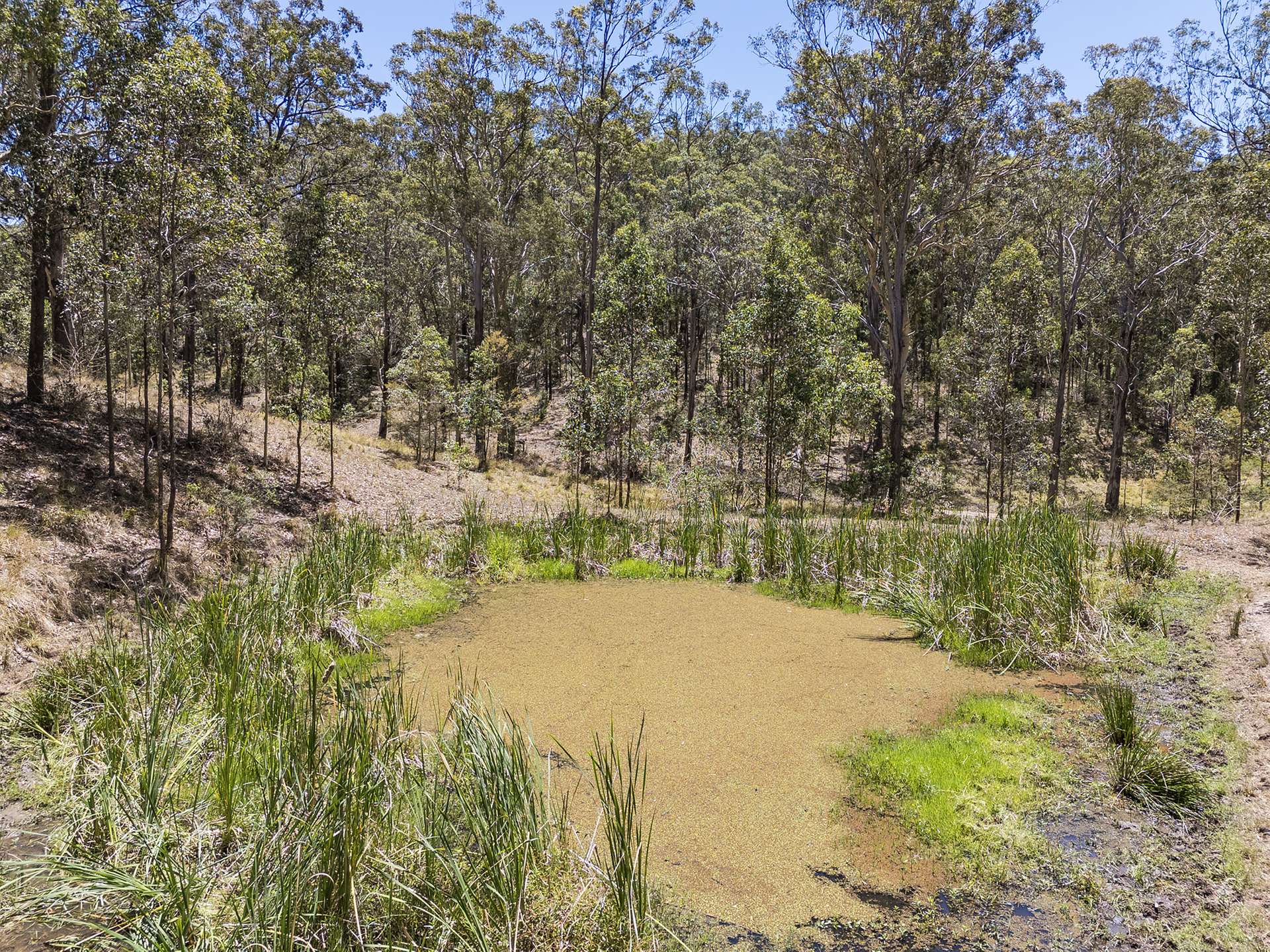 Lot 32 // 752445 Black Rock Road, Martins Creek Sold by Farmbuy.com - image 8