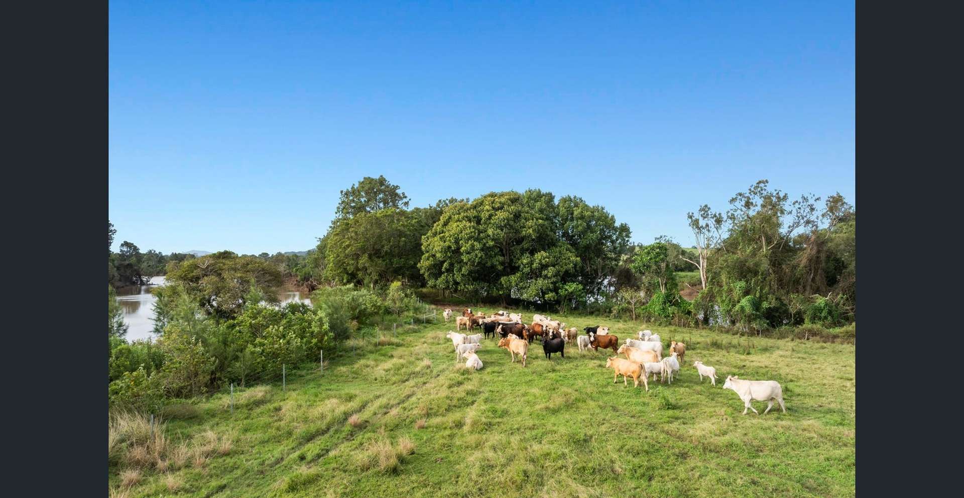 279 River Bank Road, Wyrallah For Sale by Farmbuy.com - image 17