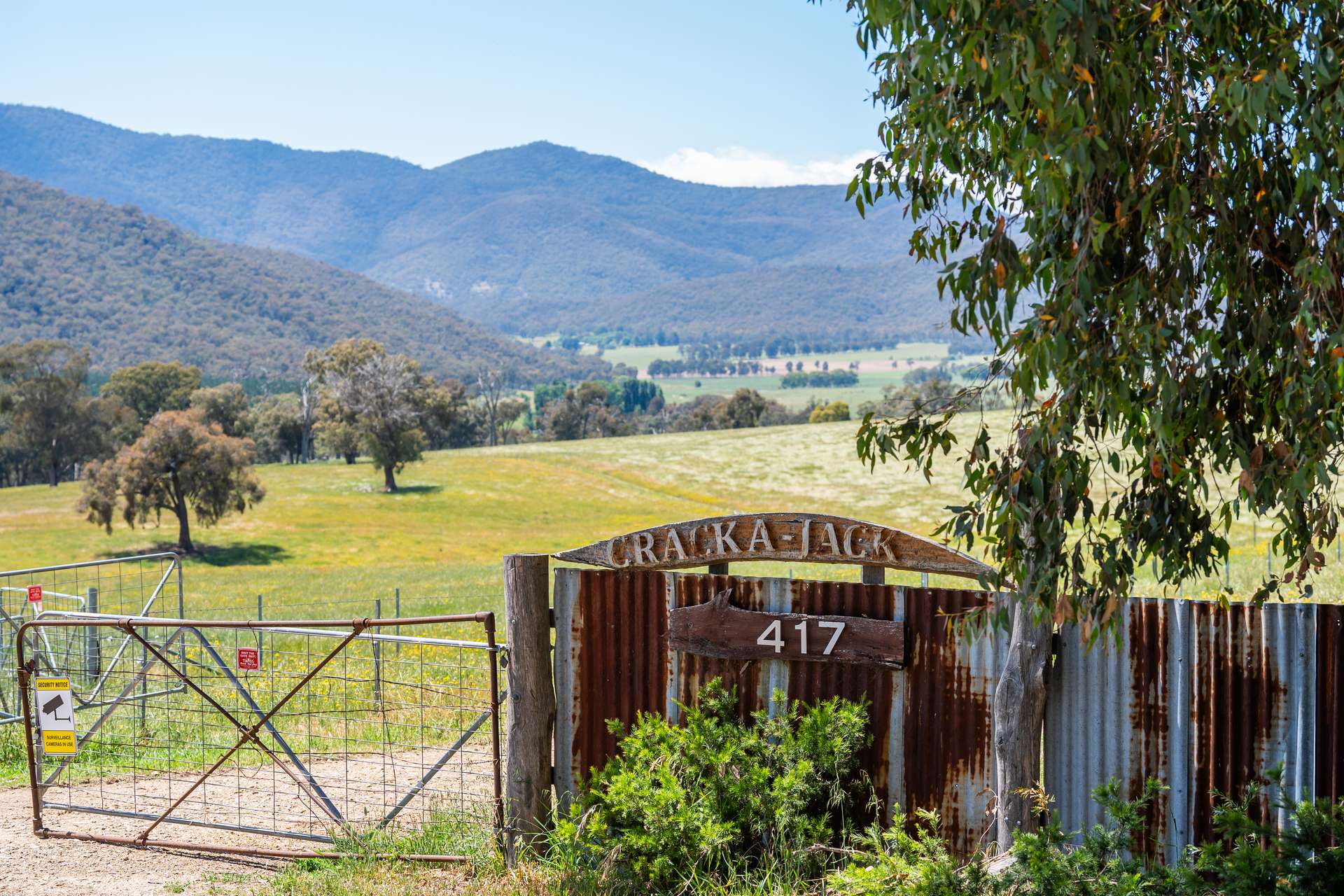 417 Black Flats Road, Mudgegonga For Sale by Farmbuy.com - image 3