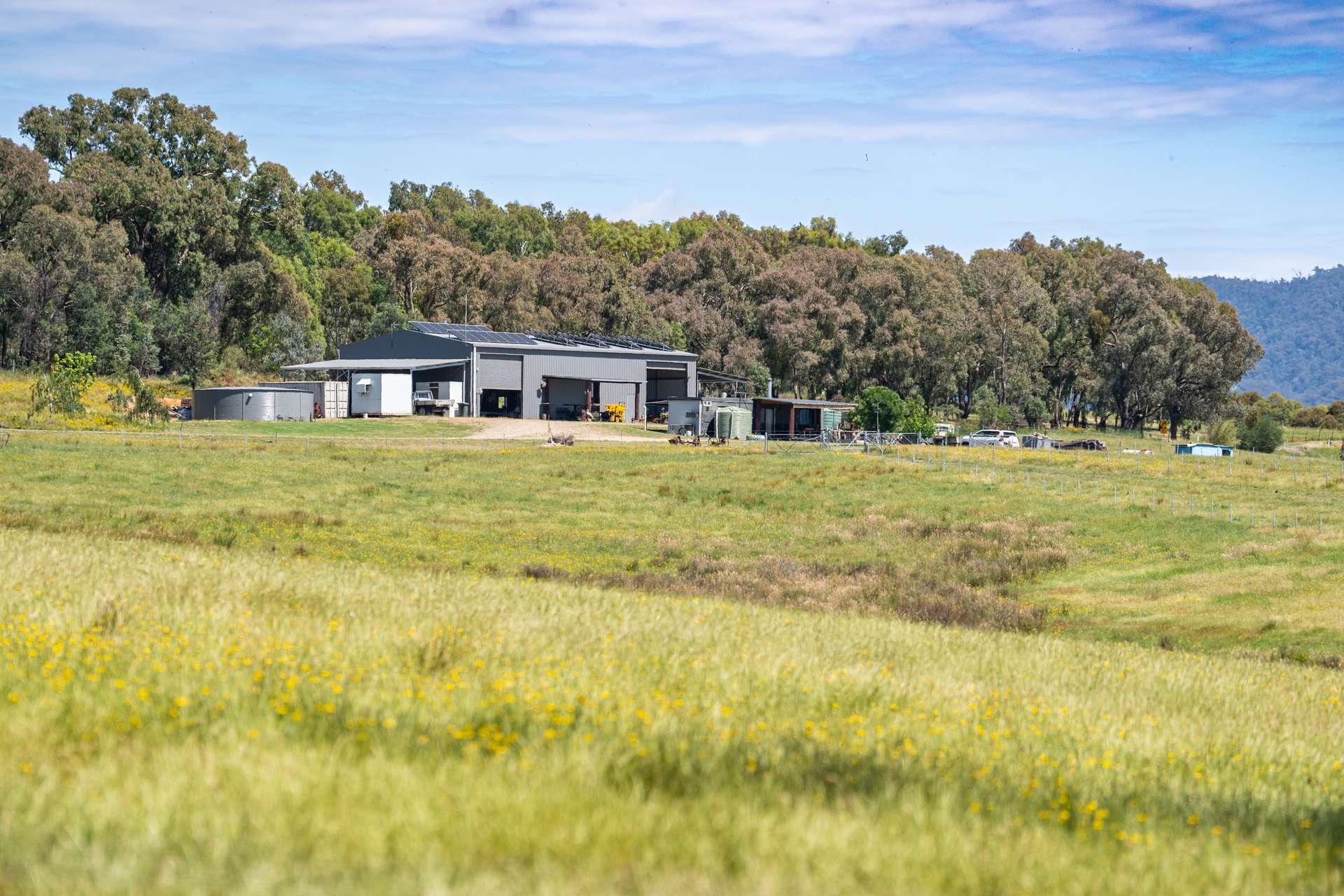 417 Black Flats Road, Mudgegonga For Sale by Farmbuy.com - image 27