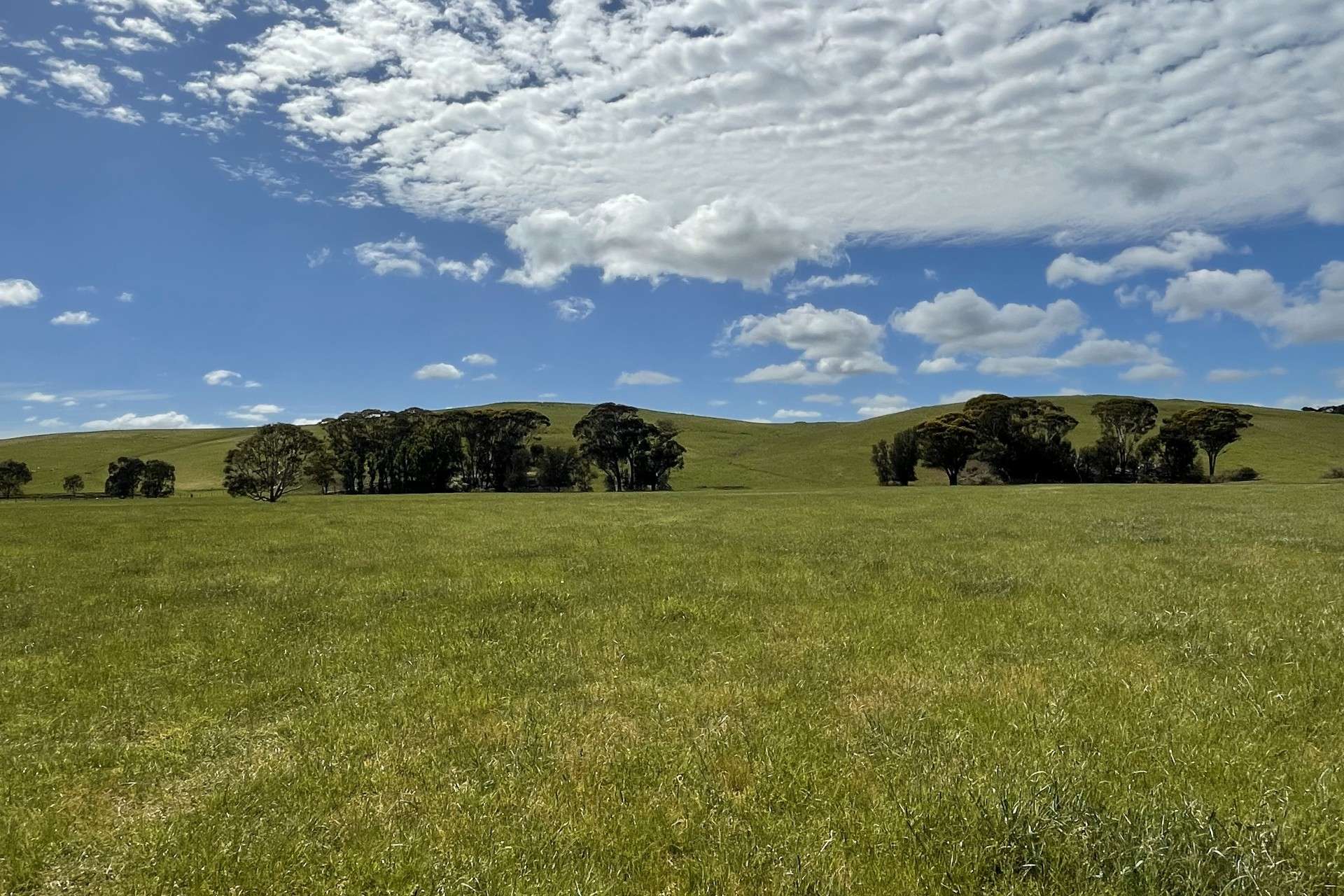 Cnr Glenelg Highway And Denhills Road, Coleraine For Sale by Farmbuy.com - image 8