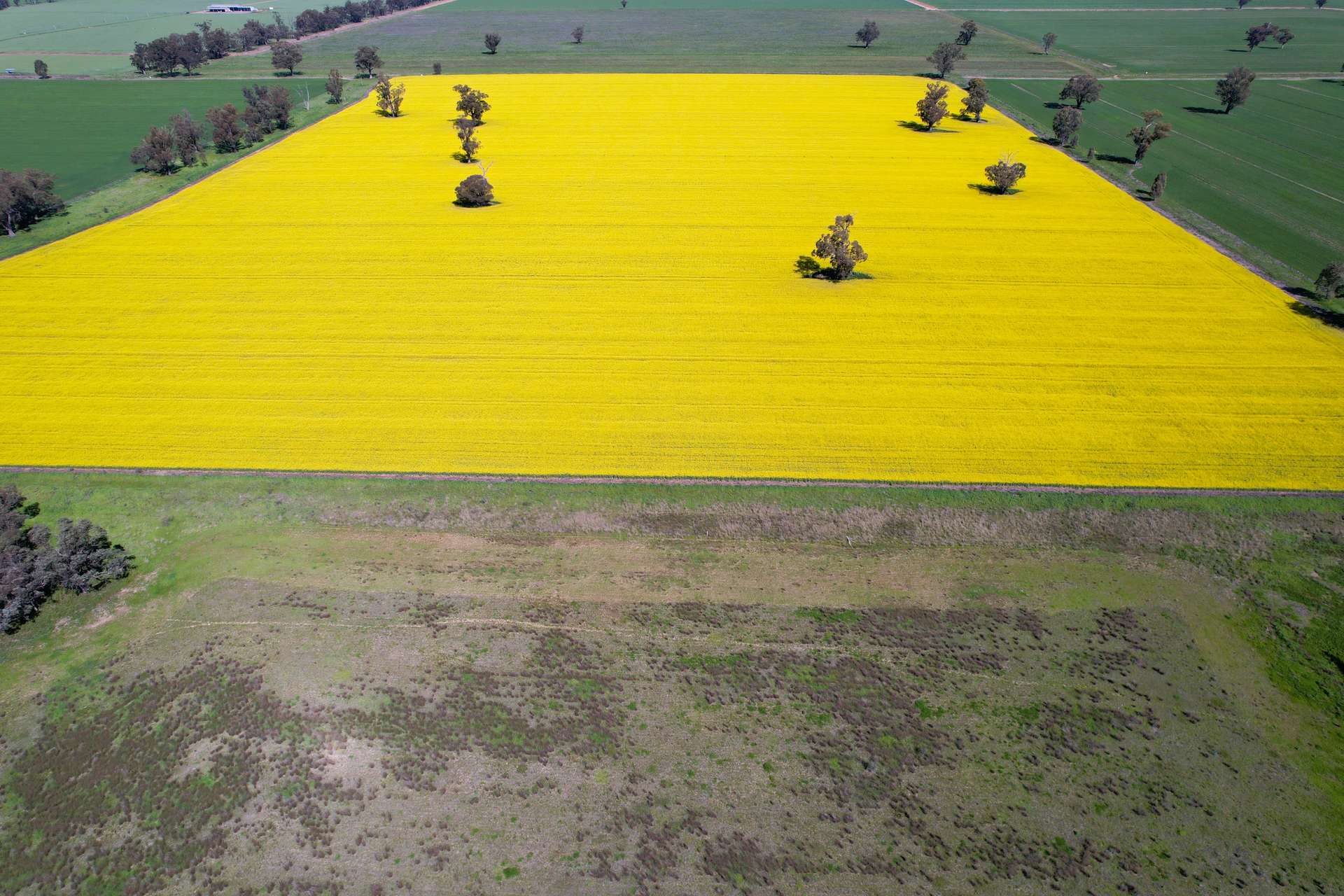 "Allandale" 7861 Lachlan Valley Way, Forbes For Sale by Farmbuy.com - image 12