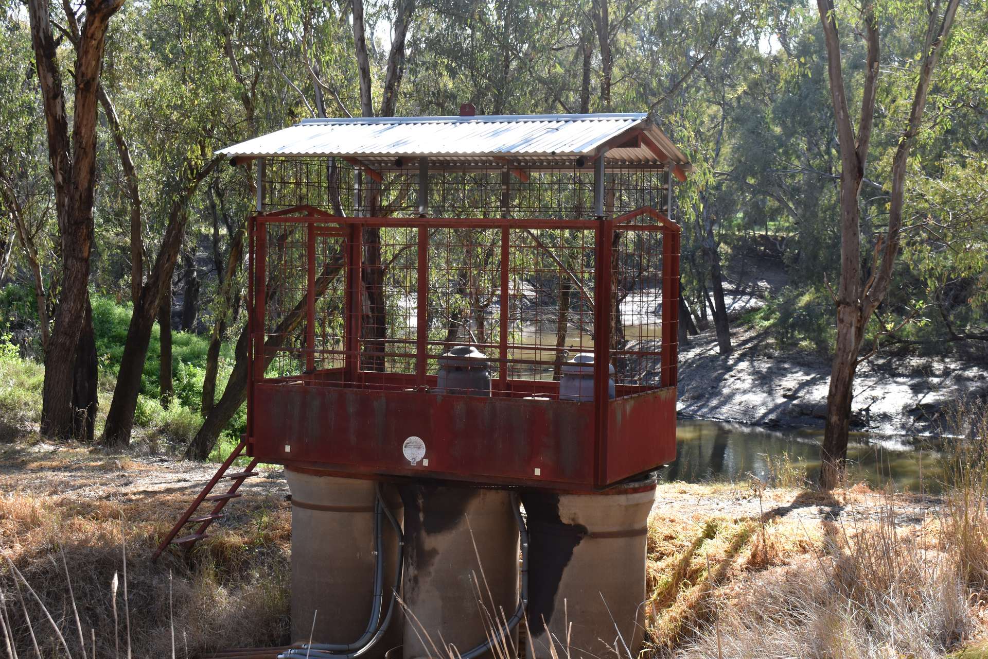 "Allandale" 7861 Lachlan Valley Way, Forbes For Sale by Farmbuy.com - image 16