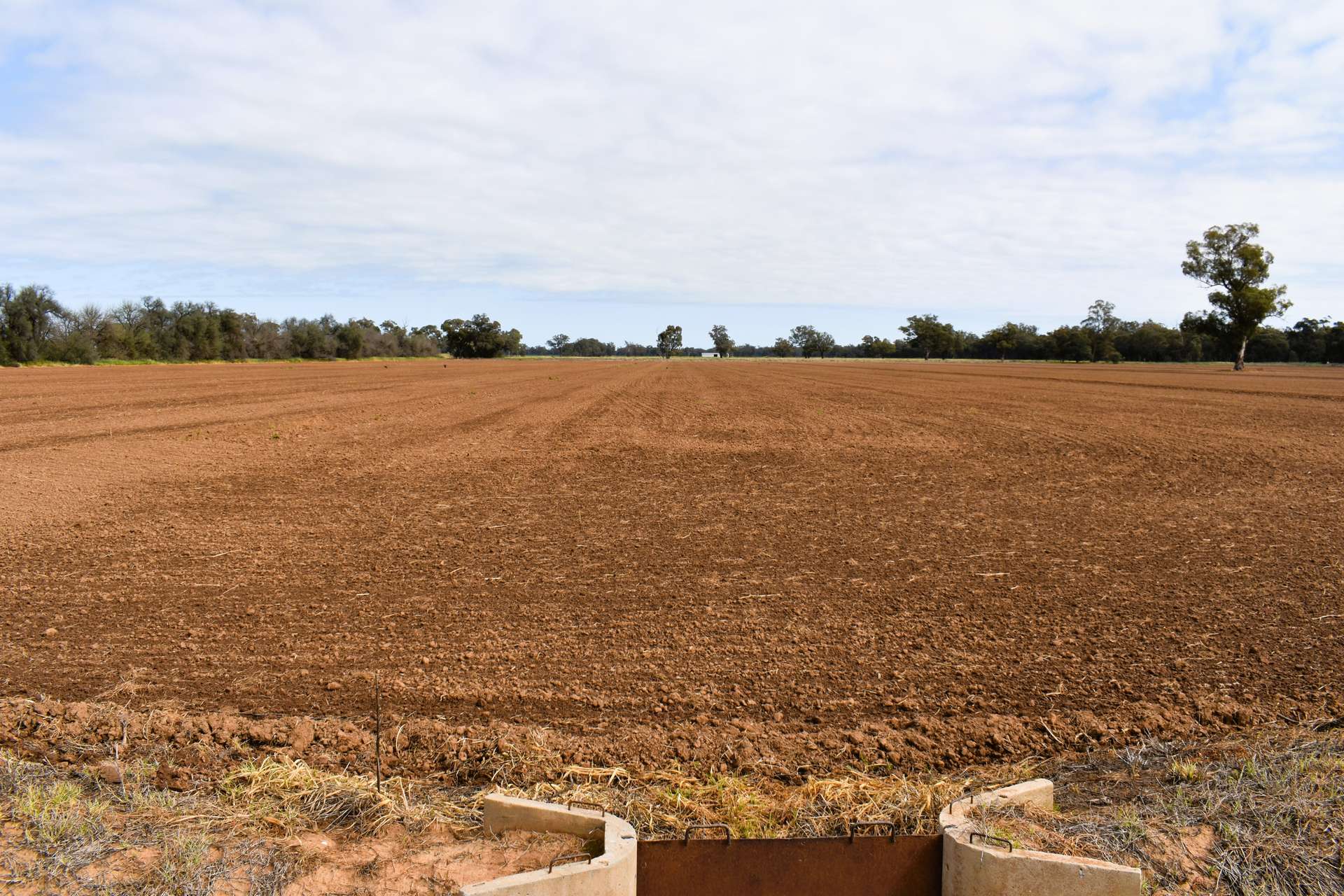 "Allandale" 7861 Lachlan Valley Way, Forbes For Sale by Farmbuy.com - image 14