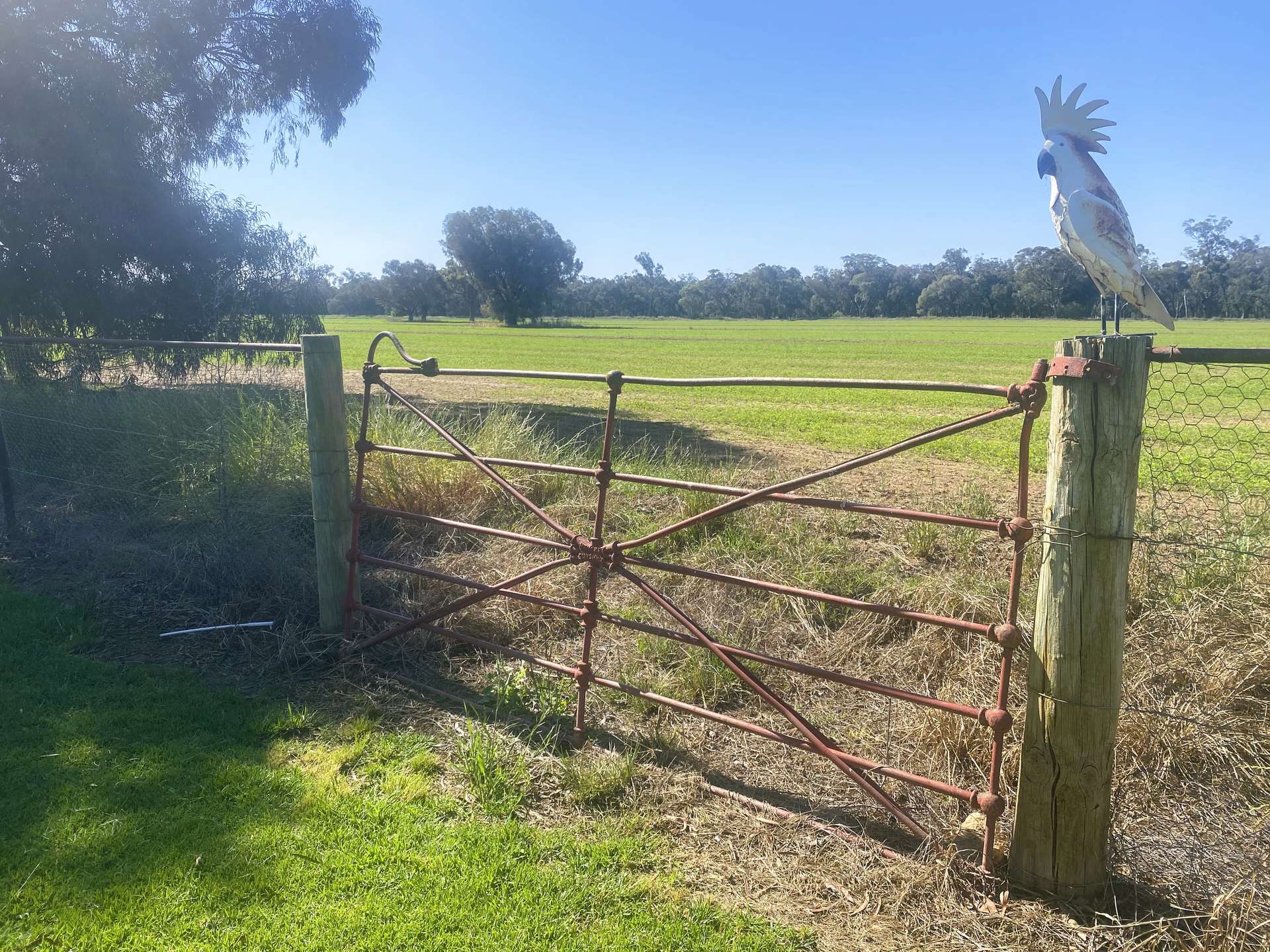 "Allandale" 7861 Lachlan Valley Way, Forbes For Sale by Farmbuy.com - image 27