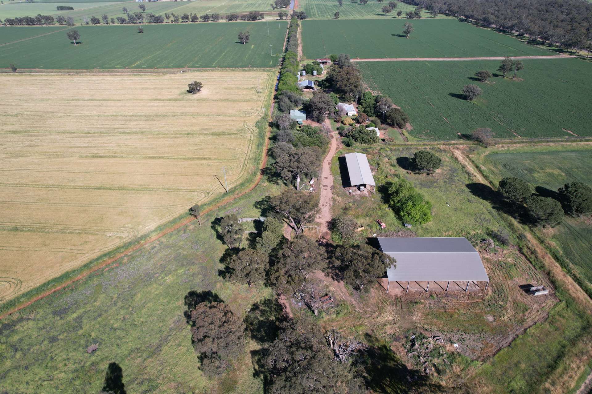 "Allandale" 7861 Lachlan Valley Way, Forbes For Sale by Farmbuy.com - image 6