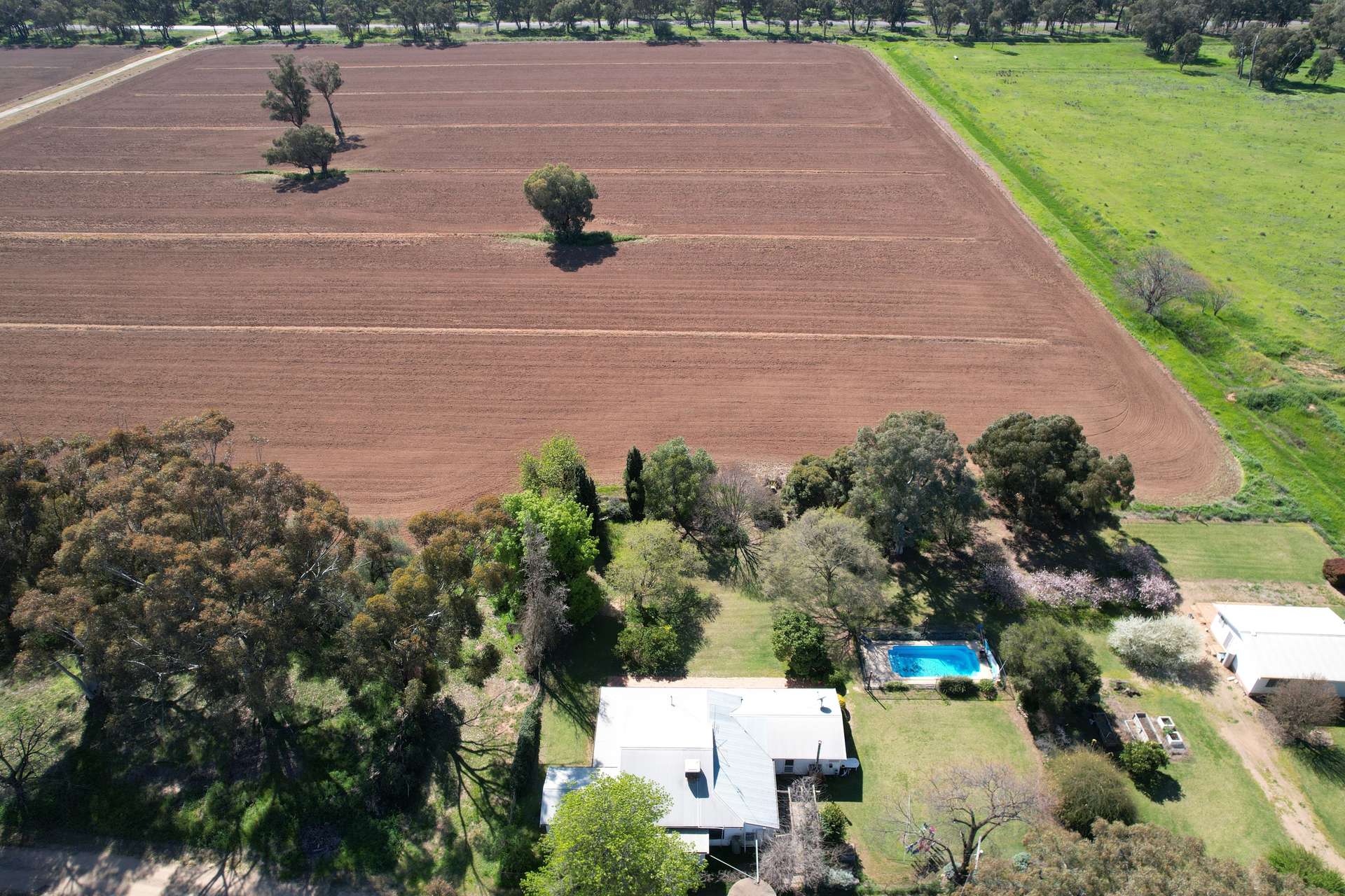 "Allandale" 7861 Lachlan Valley Way, Forbes For Sale by Farmbuy.com - image 9