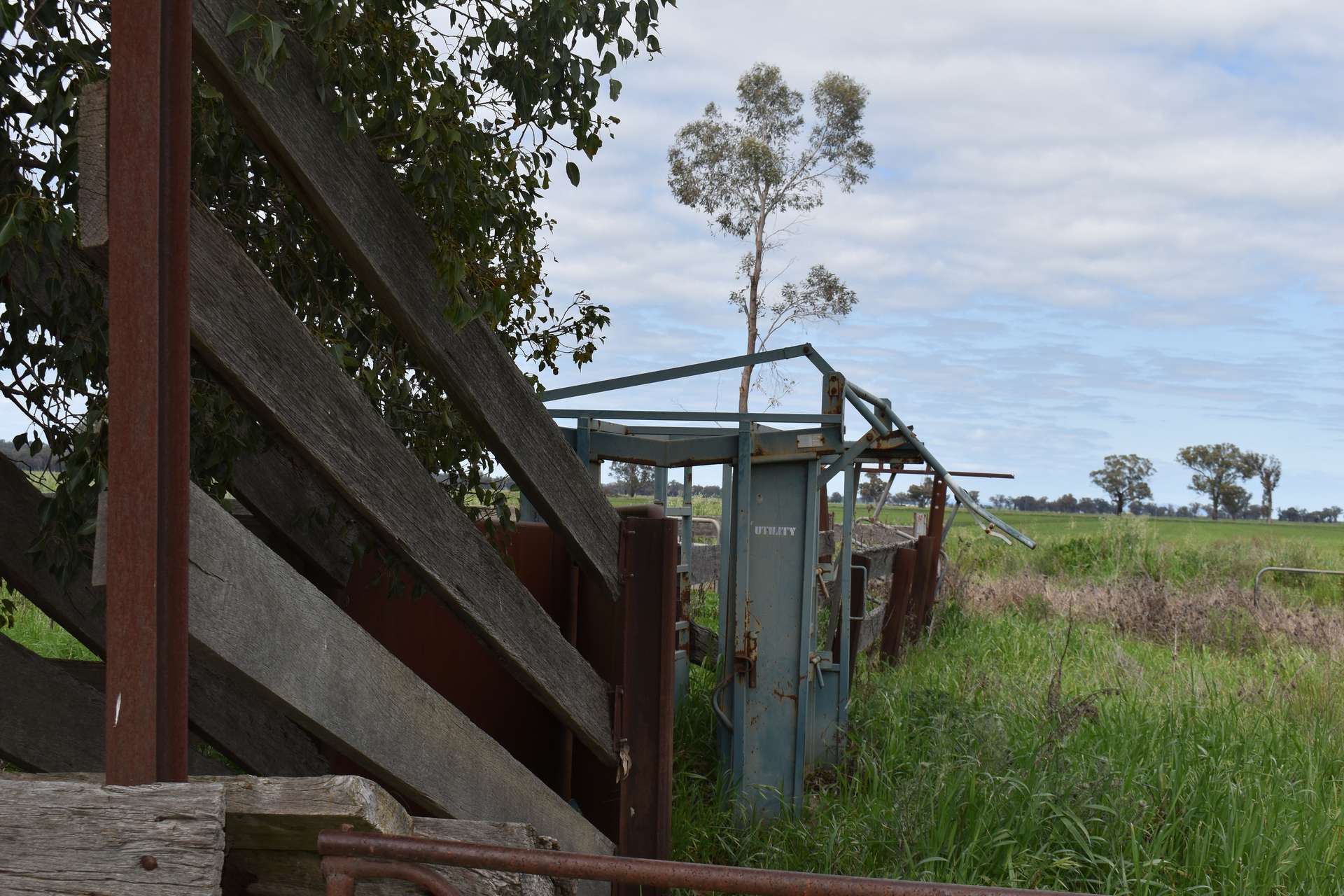 "Allandale" 7861 Lachlan Valley Way, Forbes For Sale by Farmbuy.com - image 18