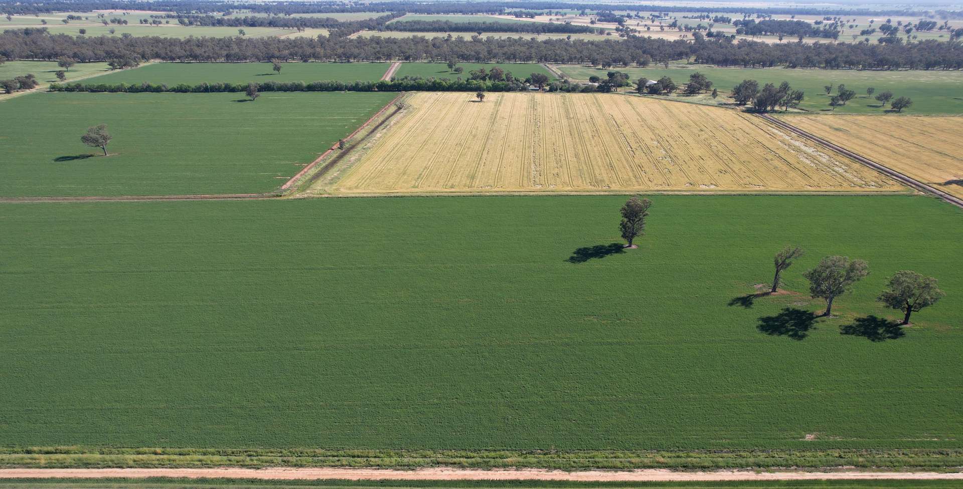 "Allandale" 7861 Lachlan Valley Way, Forbes For Sale by Farmbuy.com - image 1