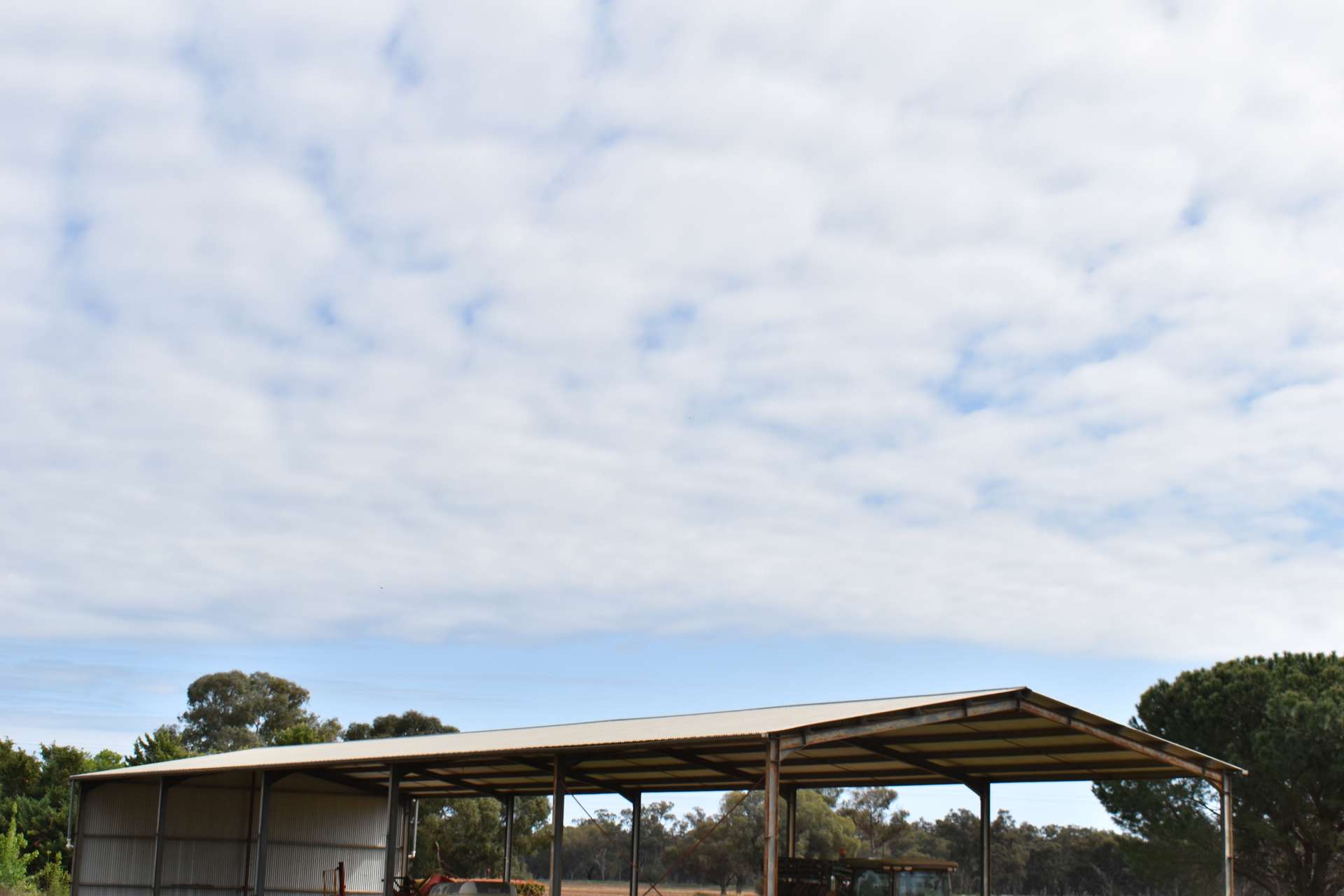 "Allandale" 7861 Lachlan Valley Way, Forbes For Sale by Farmbuy.com - image 17