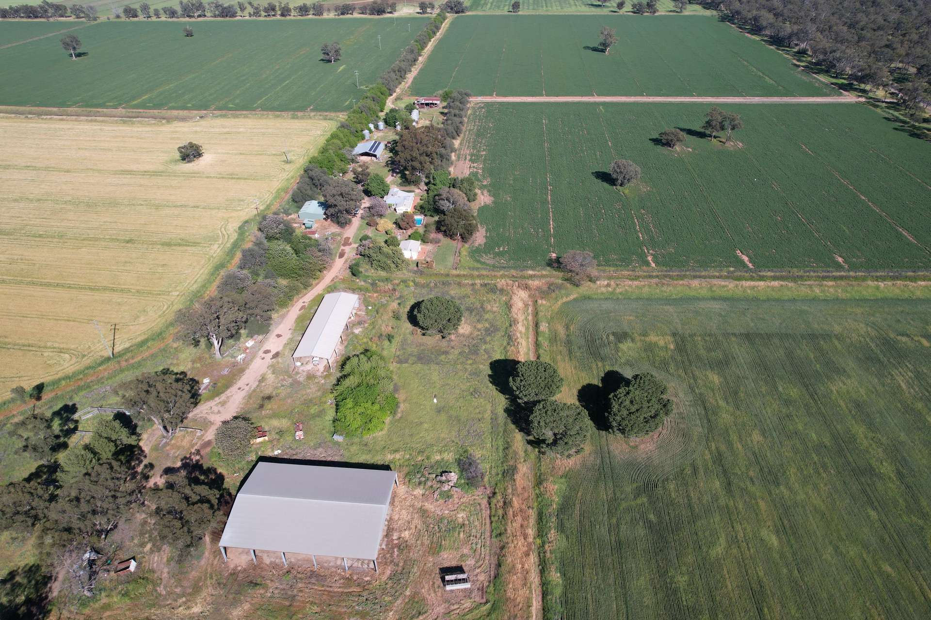 "Allandale" 7861 Lachlan Valley Way, Forbes For Sale by Farmbuy.com - image 2
