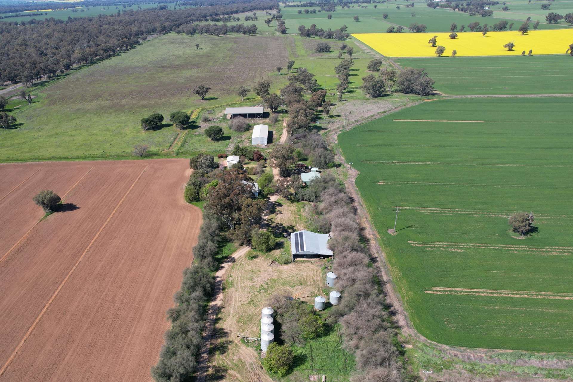 "Allandale" 7861 Lachlan Valley Way, Forbes For Sale by Farmbuy.com - image 20